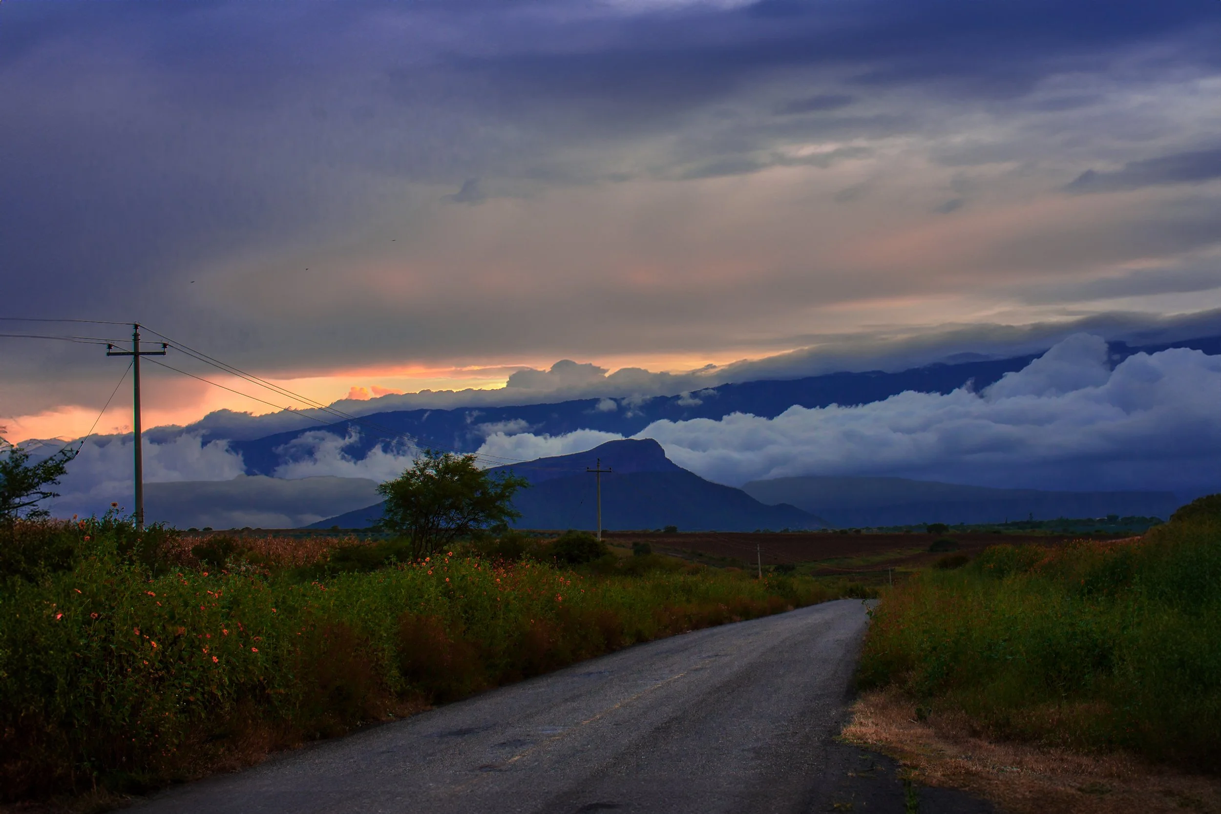 1 jalisco state road russell rutherford copy.jpg