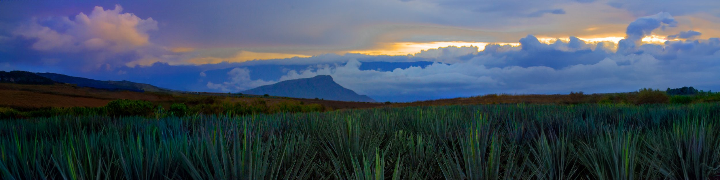 jalisco state aquave russell rutherford copy 2.jpg