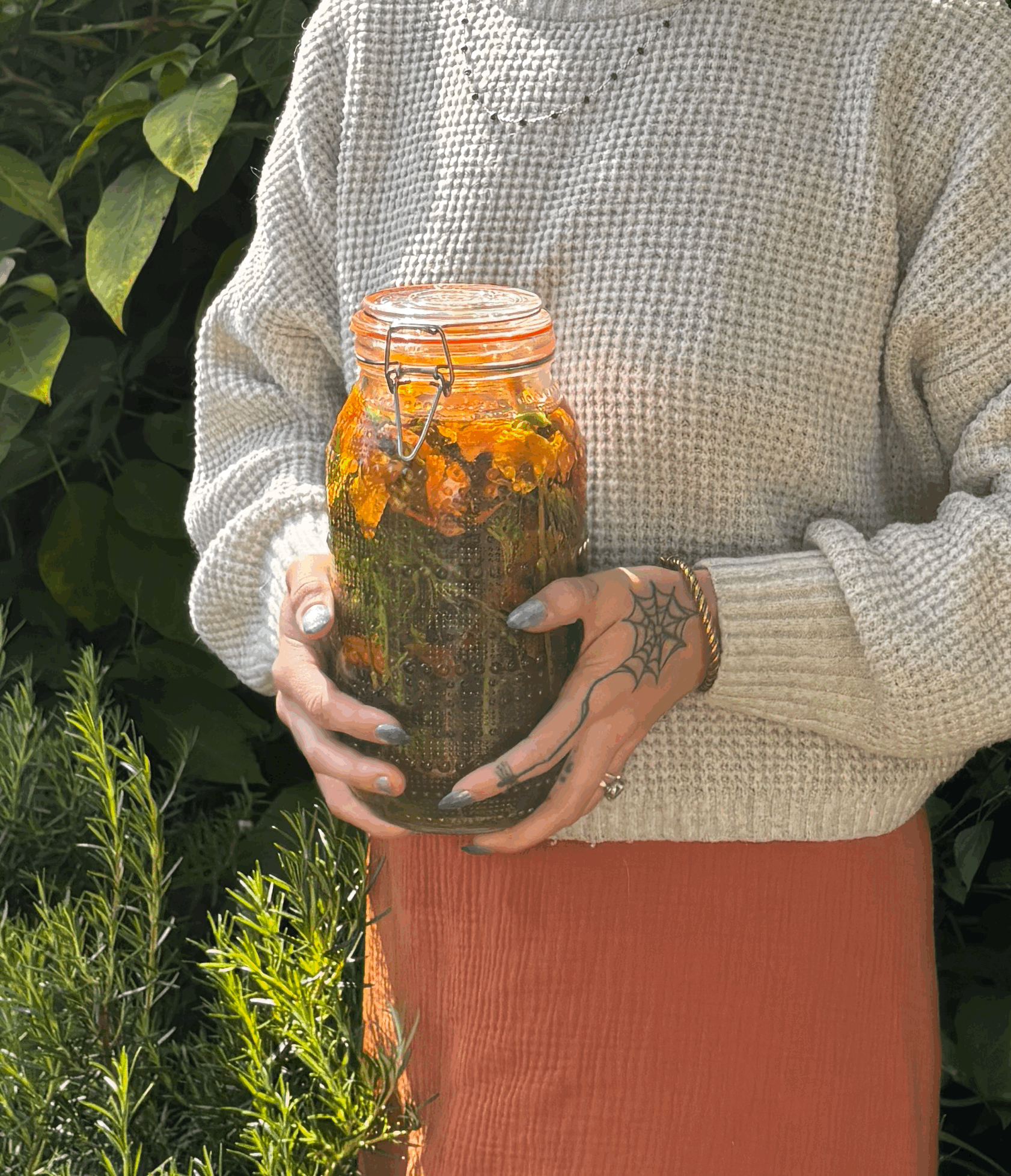 30-Minute Plant Medicine Consultation