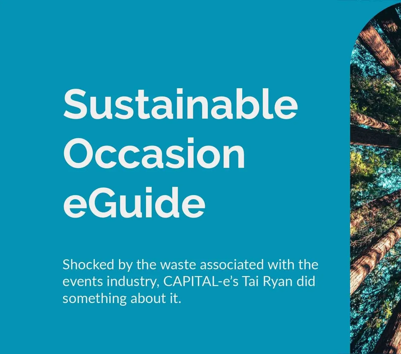 THE SUSTAINABLE OCCASION EGUIDE: YOUR GO-TO GUIDE FOR SUSTAINABLE EVENT MANAGEMENT