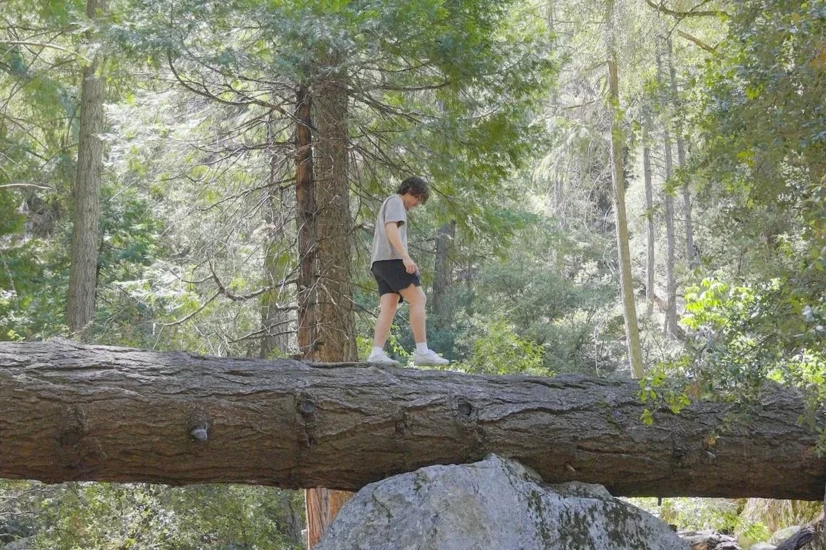 Yosemite '24