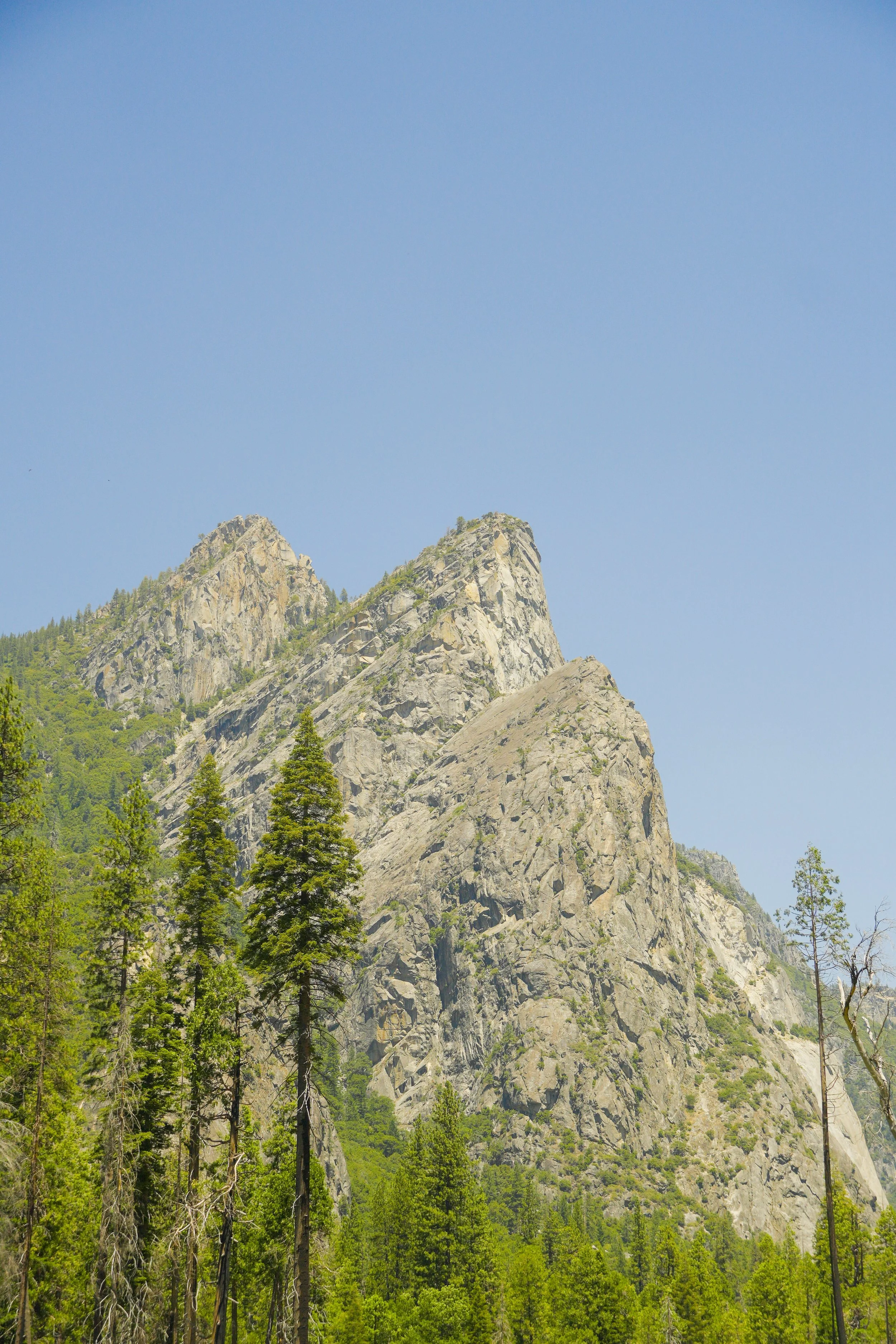 DSC00515-2-2.jpg