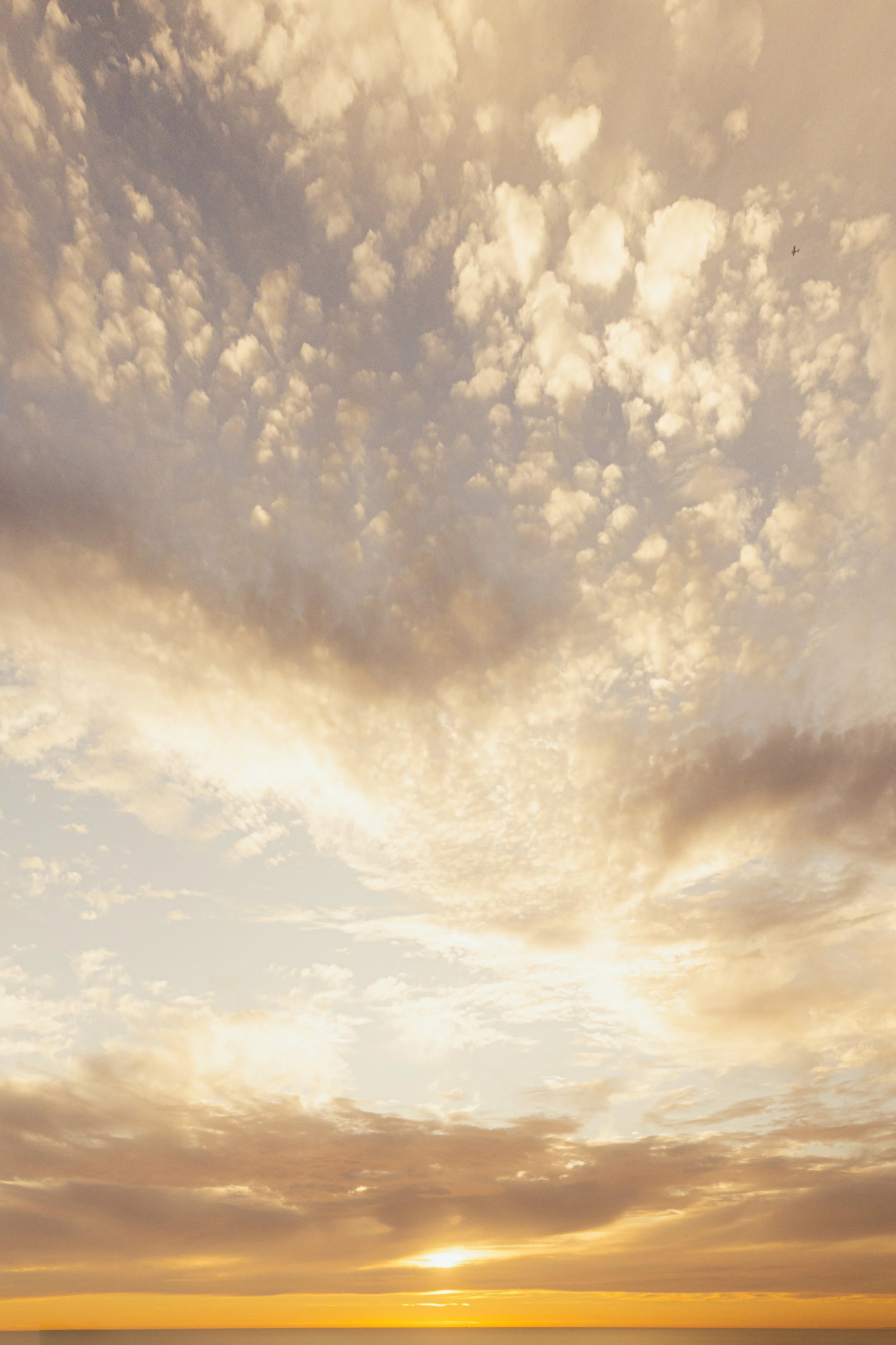 A6704990-2.jpg