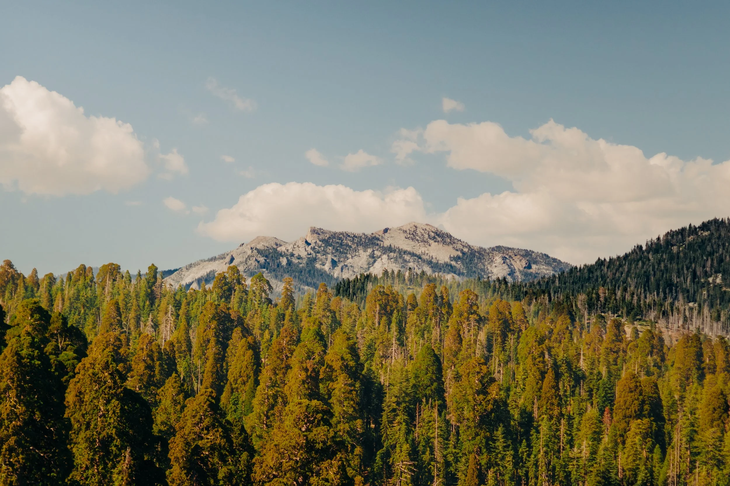 Moro Rock '26