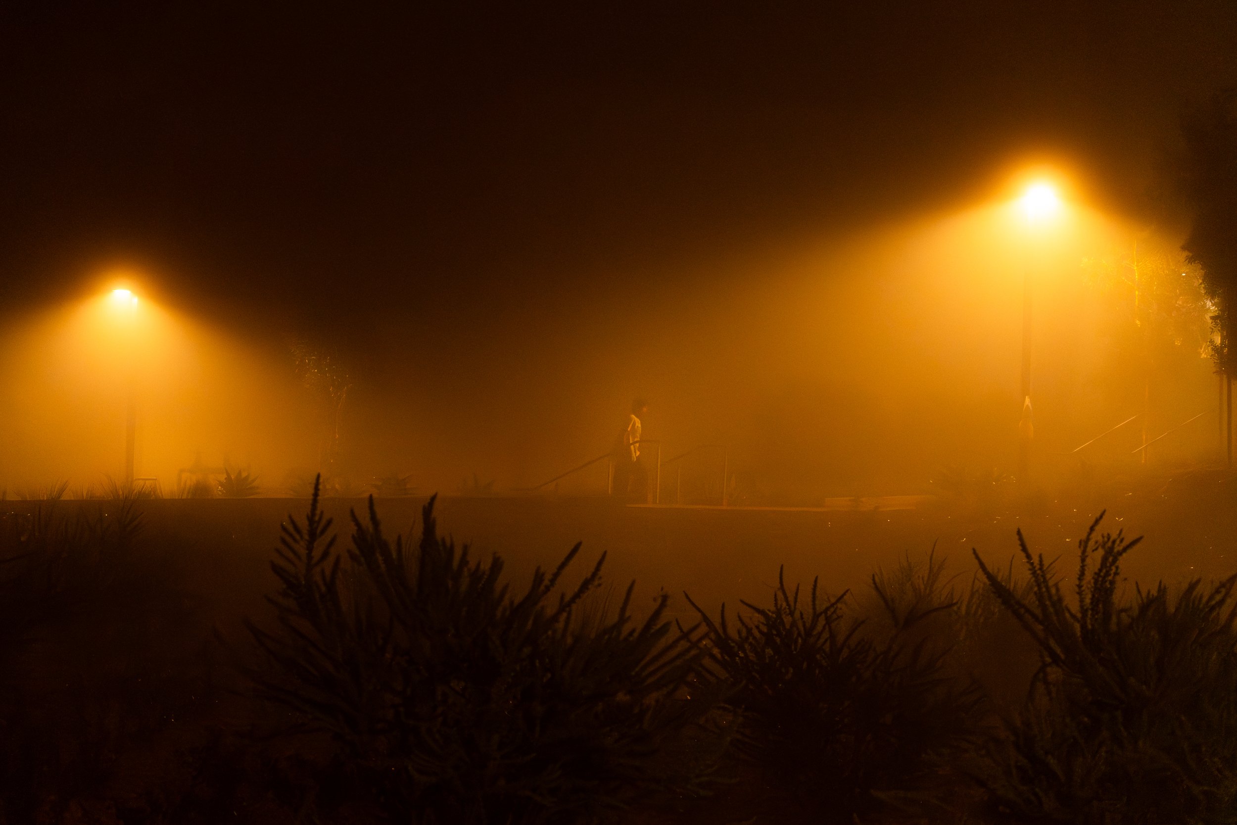 4 A6702697.jpg