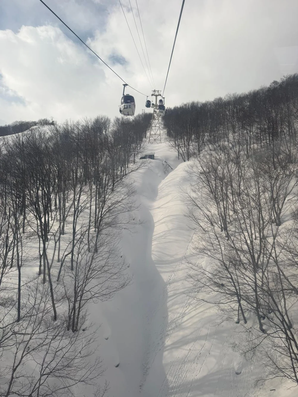 Gondola over snowy forest in Hakuba