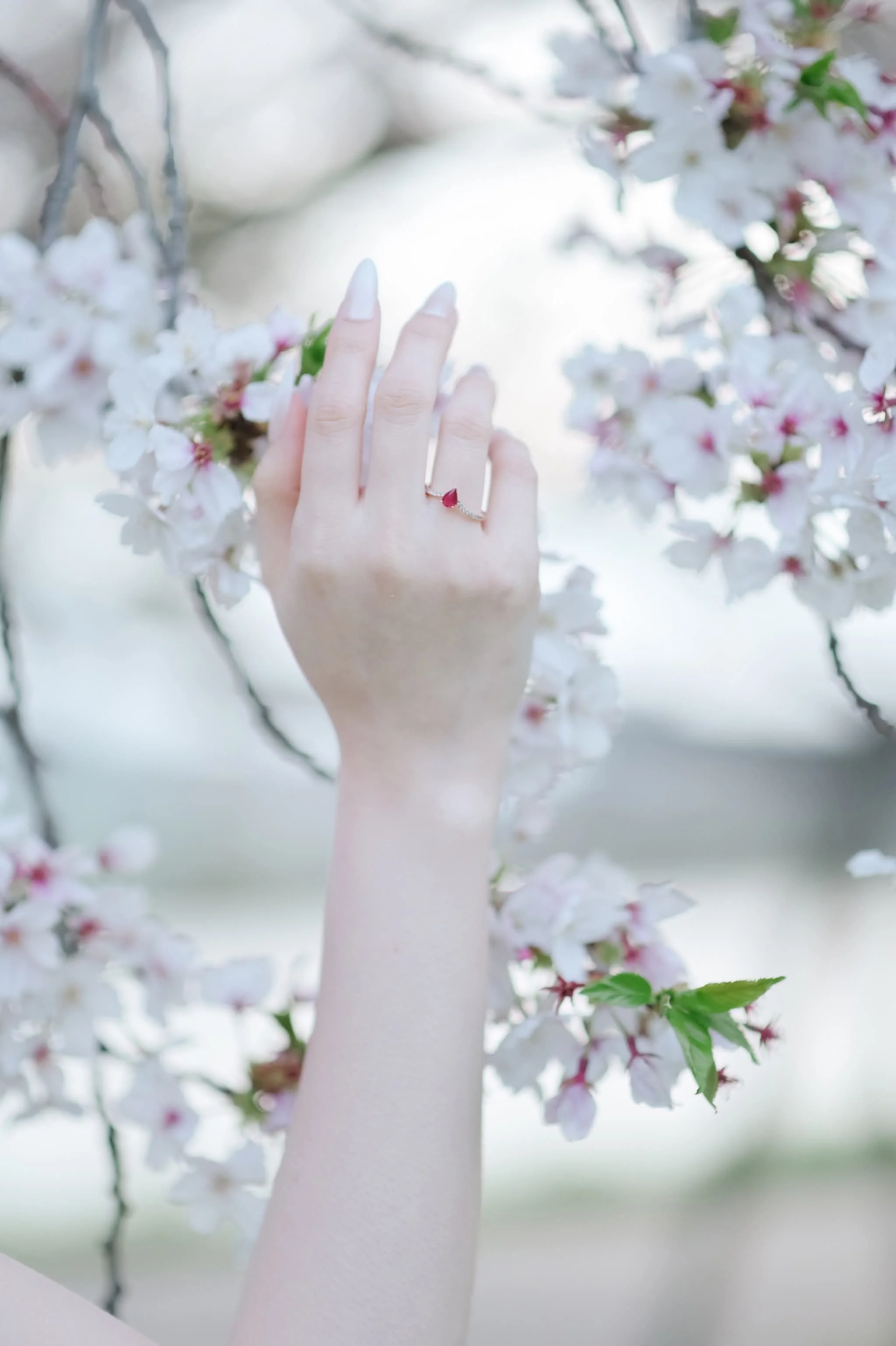 Loving Glow Ruby Ring
