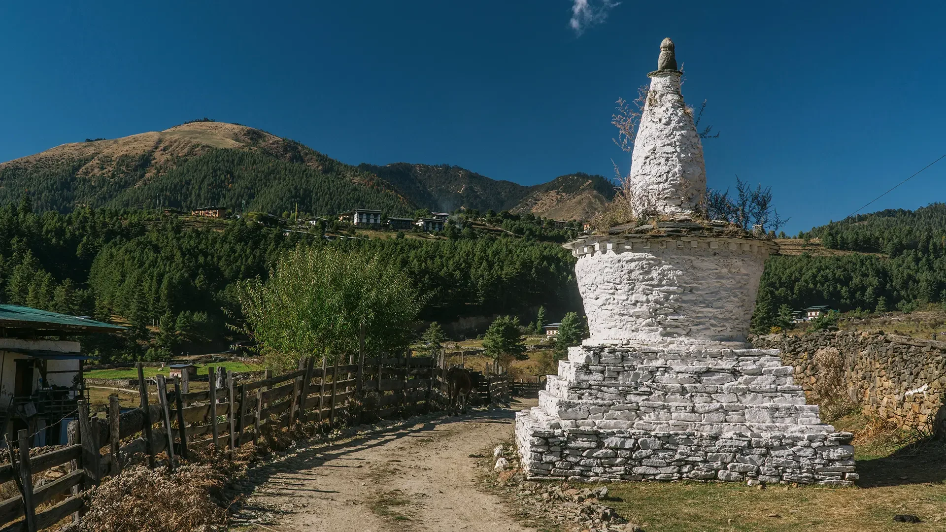 A white stone stupa or chorten in a rural mountainous landscape with green trees and hills in the background under a clear blue sky.