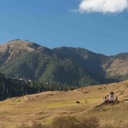 A landscape of rolling hills and mountains with a few pairs of animals grazing, under a blue sky with some clouds.