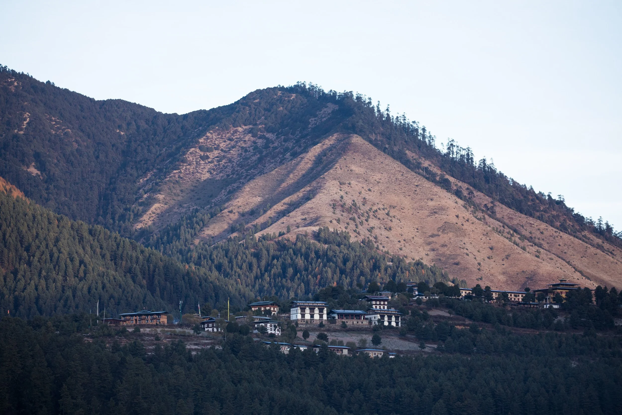 Mountains with tree-covered slopes and buildings at the base, under a clear sky.