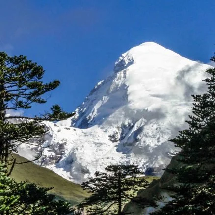 Snow-covered mountain peak with trees in the foreground and a clear blue sky.