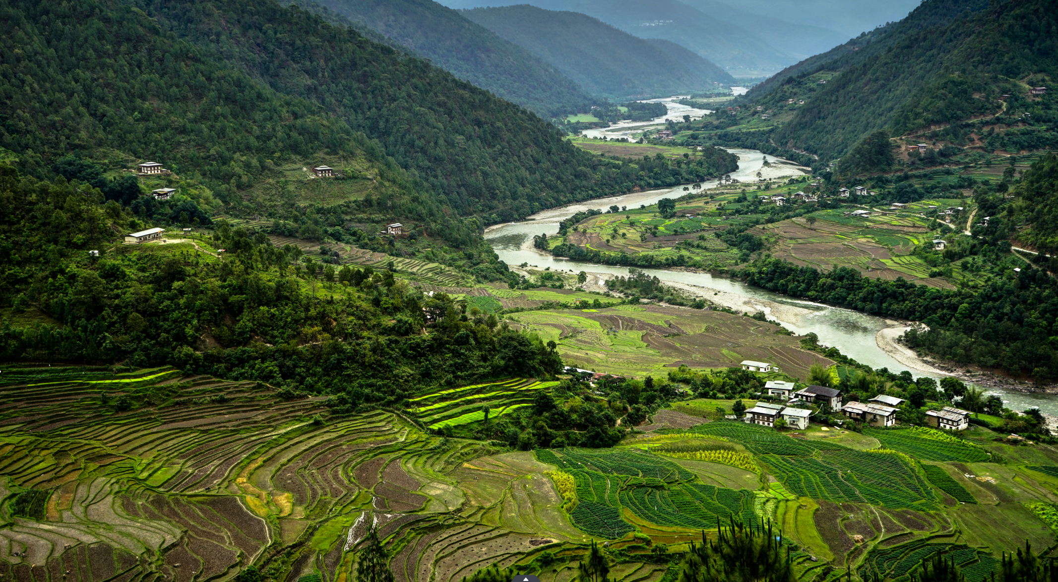 Scenic view of green terraced rice fields on mountainsides with a river flowing through a lush valley and scattered houses.