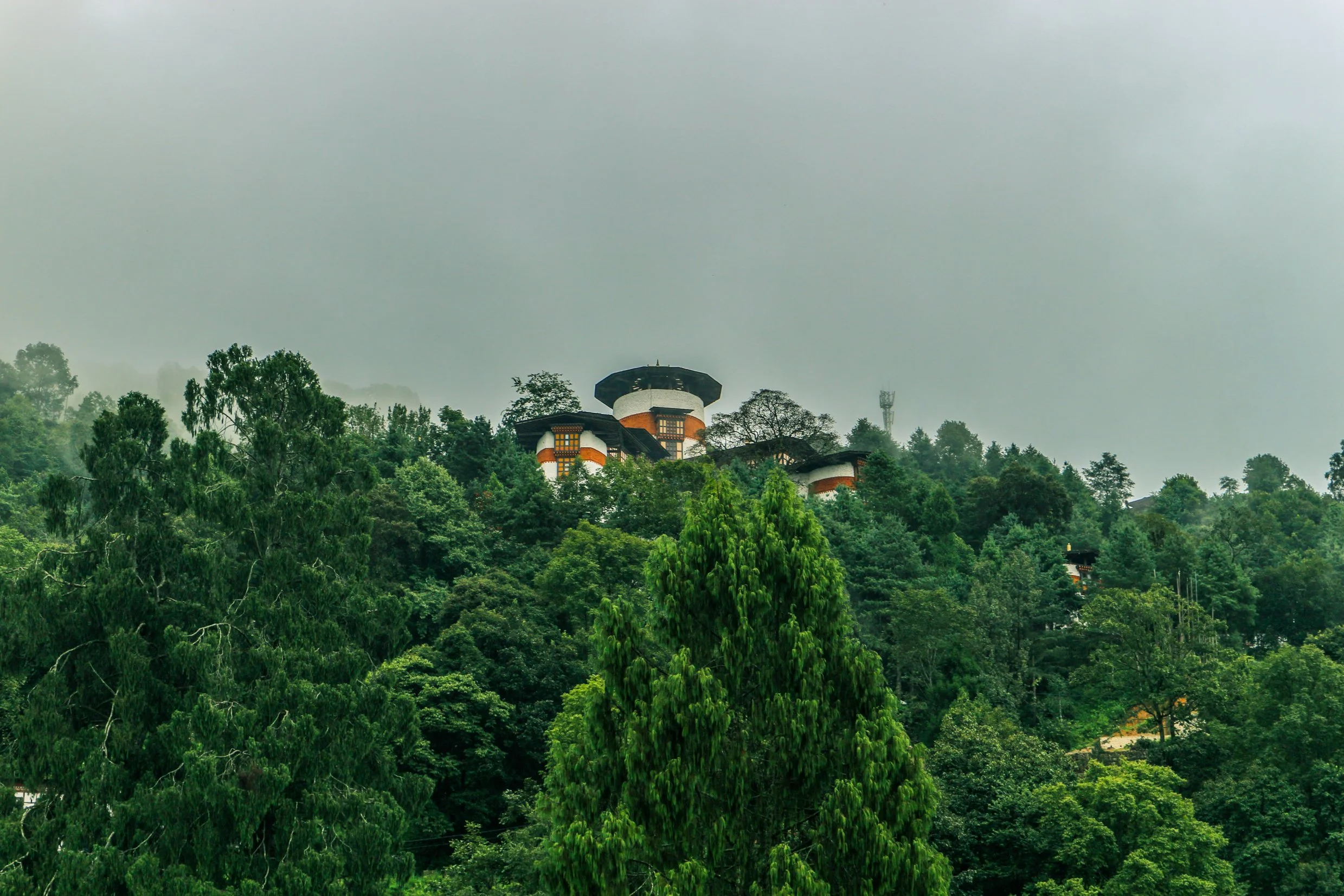 A scenic view of a lush green forest on a hillside with unique, traditional-style buildings with circular and rectangular shapes, white walls, dark roofs, and orange accents, partially obscured by dense trees, under a cloudy grey sky.