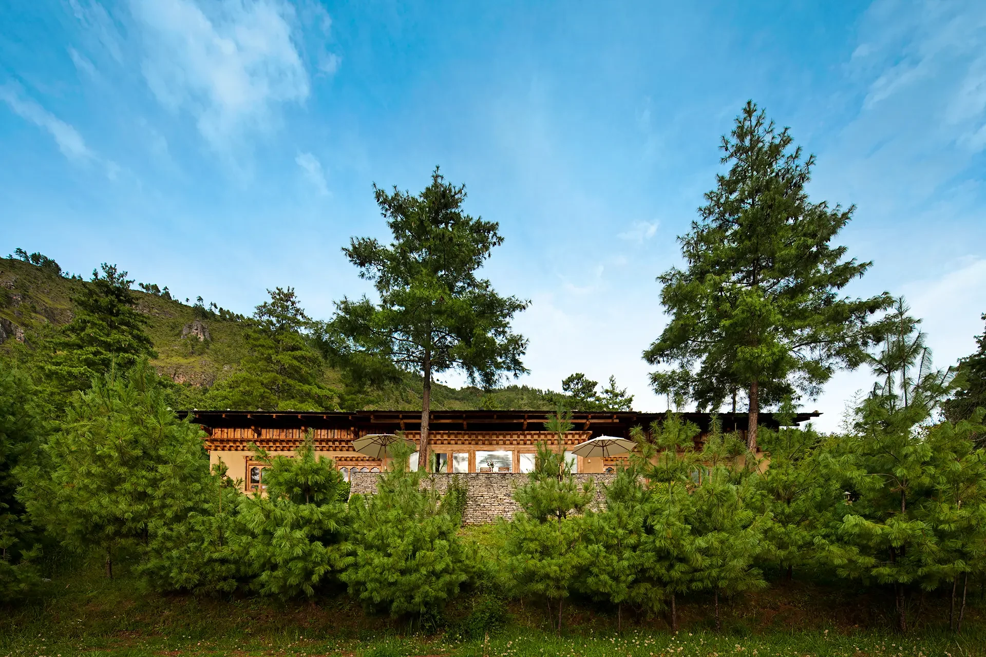 A scenic view of a house with a patio, surrounded by lush green plants and tall trees, with a mountain in the background and a bright blue sky with some clouds overhead.