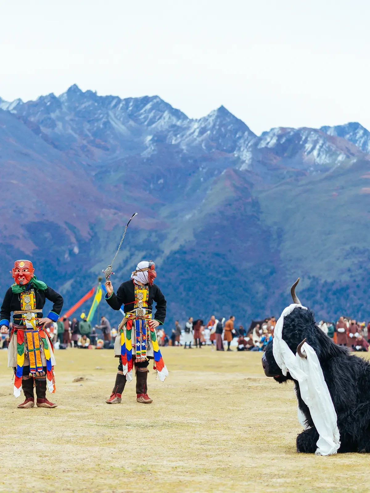 People dressed in traditional costumes participating in a cultural festival in a field with mountains in the background. A person in a cow costume is on the right side.