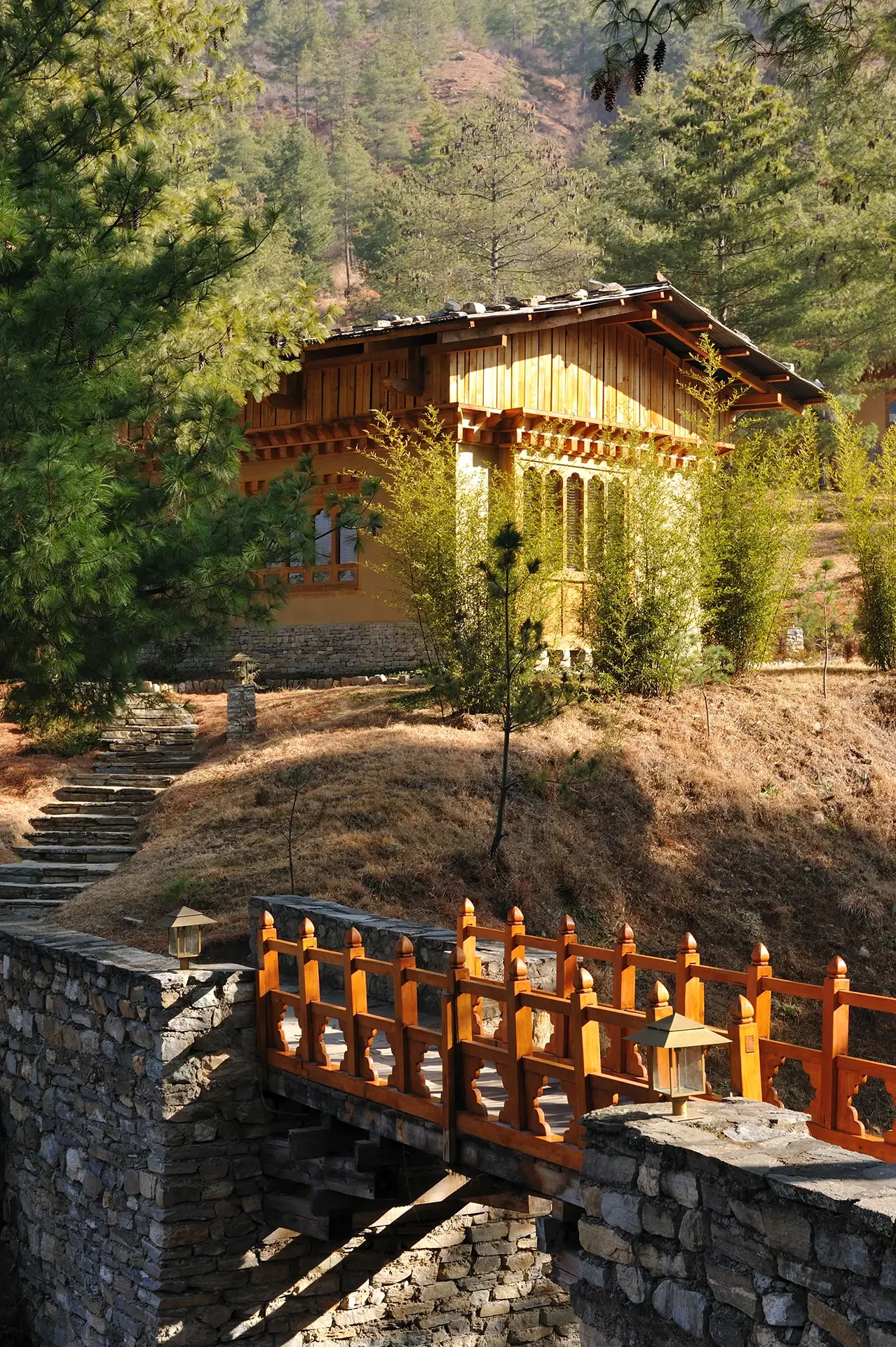 A wooden house on a hillside surrounded by pine trees, with a stone wall and pathway in the foreground.