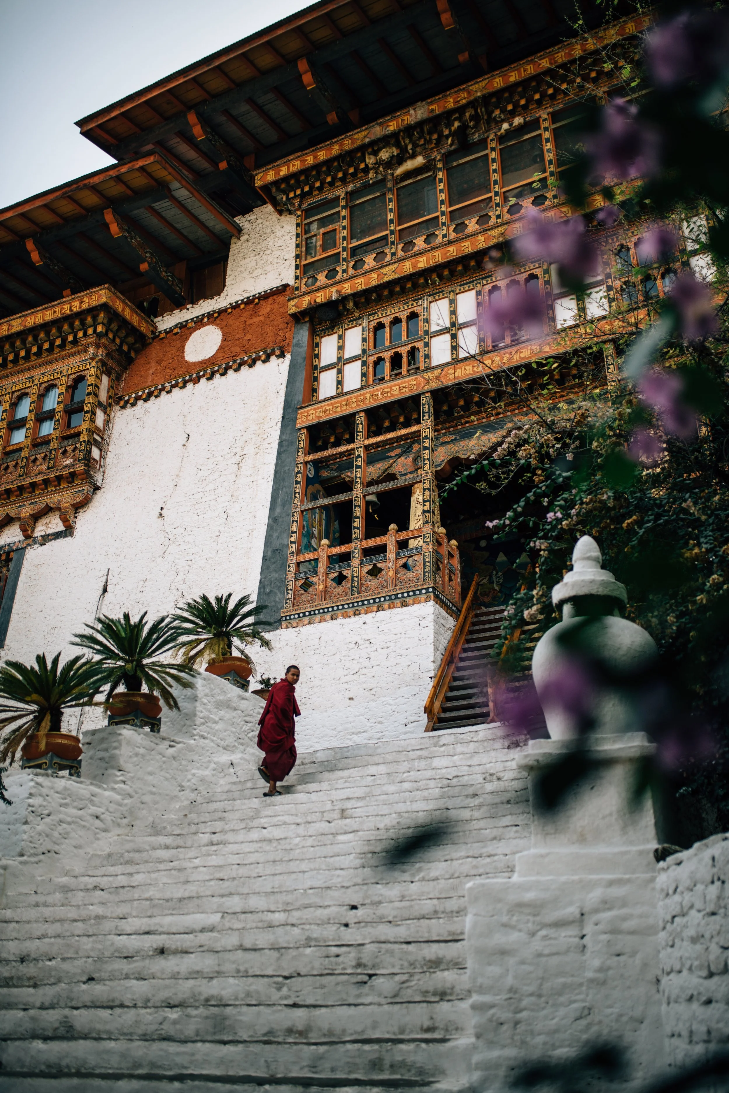 A large traditional Asian building with ornate wooden windows and a white and reddish-brown wall, seen from below. A monk in red robes is walking up white stone steps, surrounded by potted plants and purple flowers.