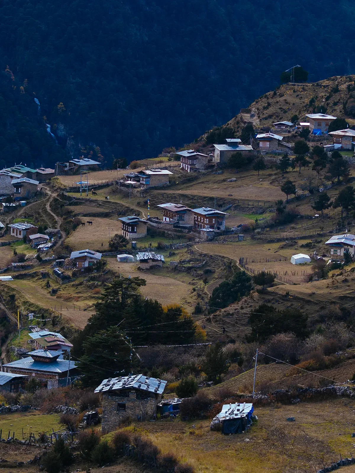 A mountainous hillside village with scattered houses, trees, and terraced farmland, surrounded by forested slopes and cliffs.