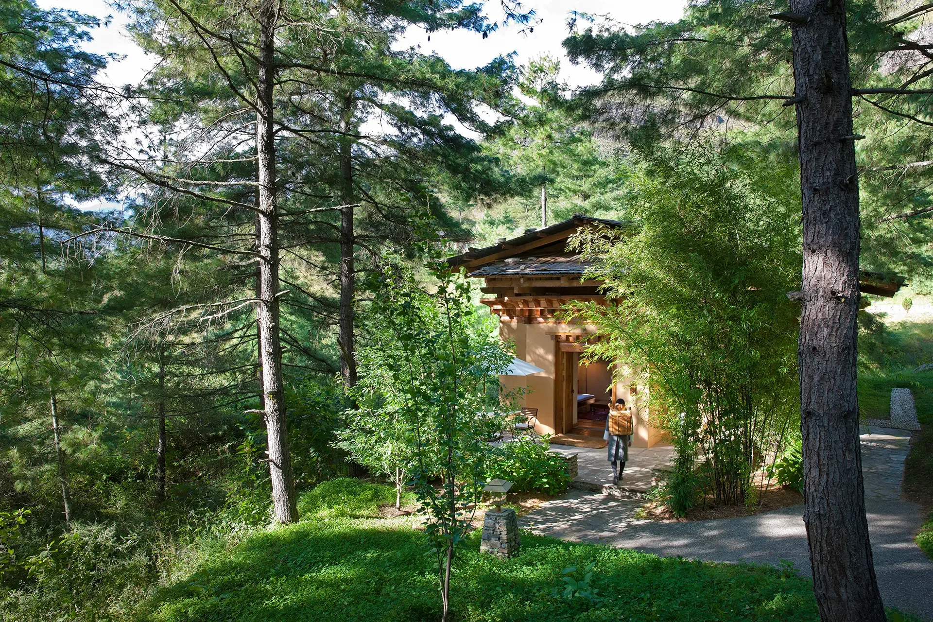 A small house nestled in a lush wooded area with tall trees and greenery surrounding it. There is a visible patio with a person walking towards the house.