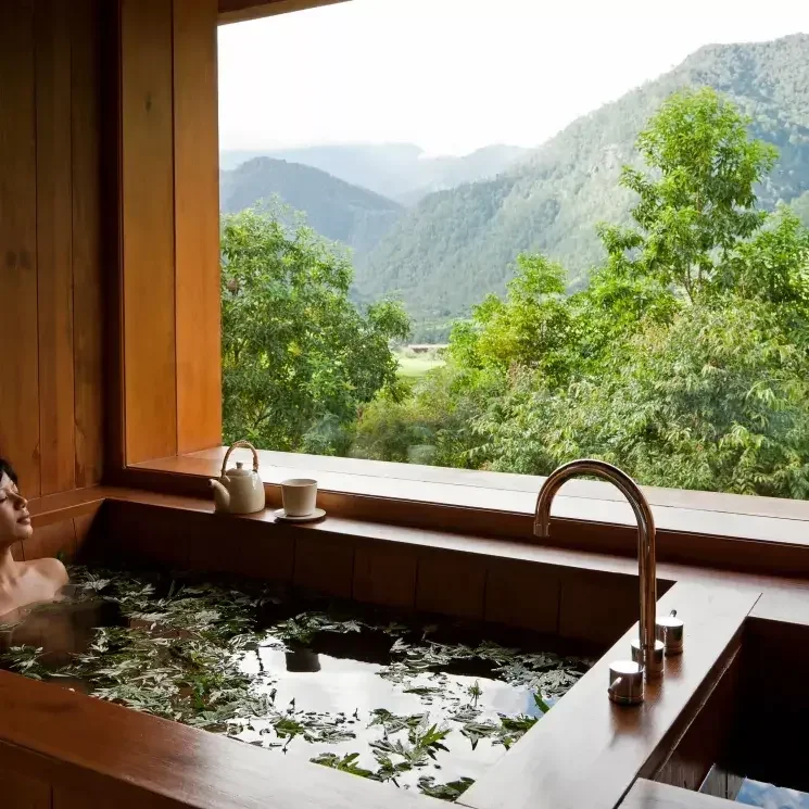 Person relaxing in a wooden bathtub filled with water and leaves, facing a large window with a scenic mountain and forest view.