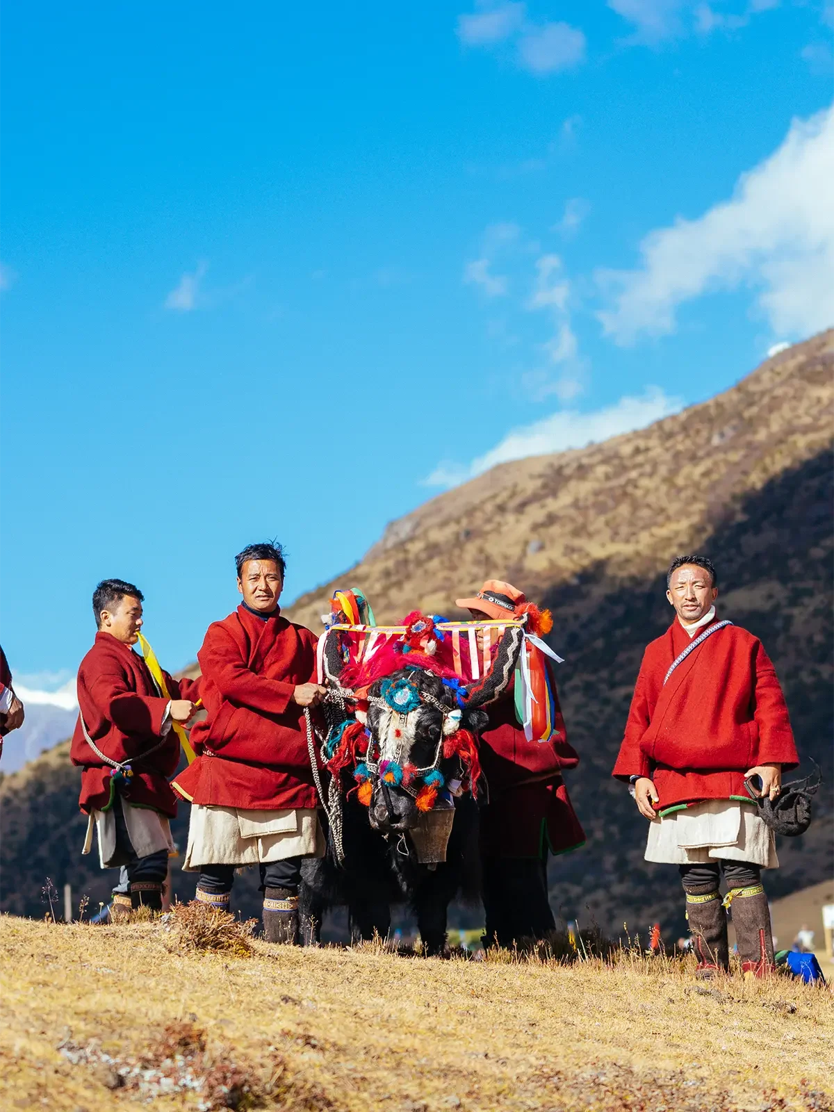 Group of men in traditional clothing standing with a decorated yak in a mountainous landscape under a blue sky.