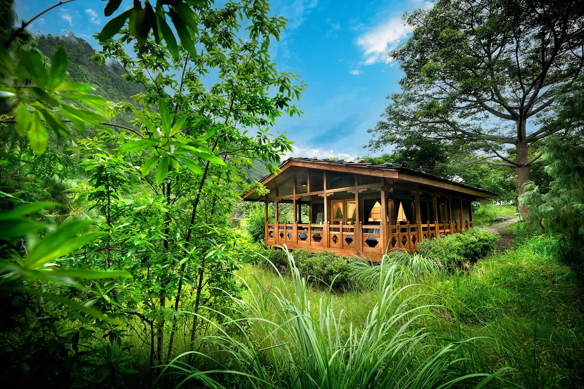 A wooden house with a covered porch is situated among lush green trees and tall grass, with a bright blue sky and scattered clouds overhead.
