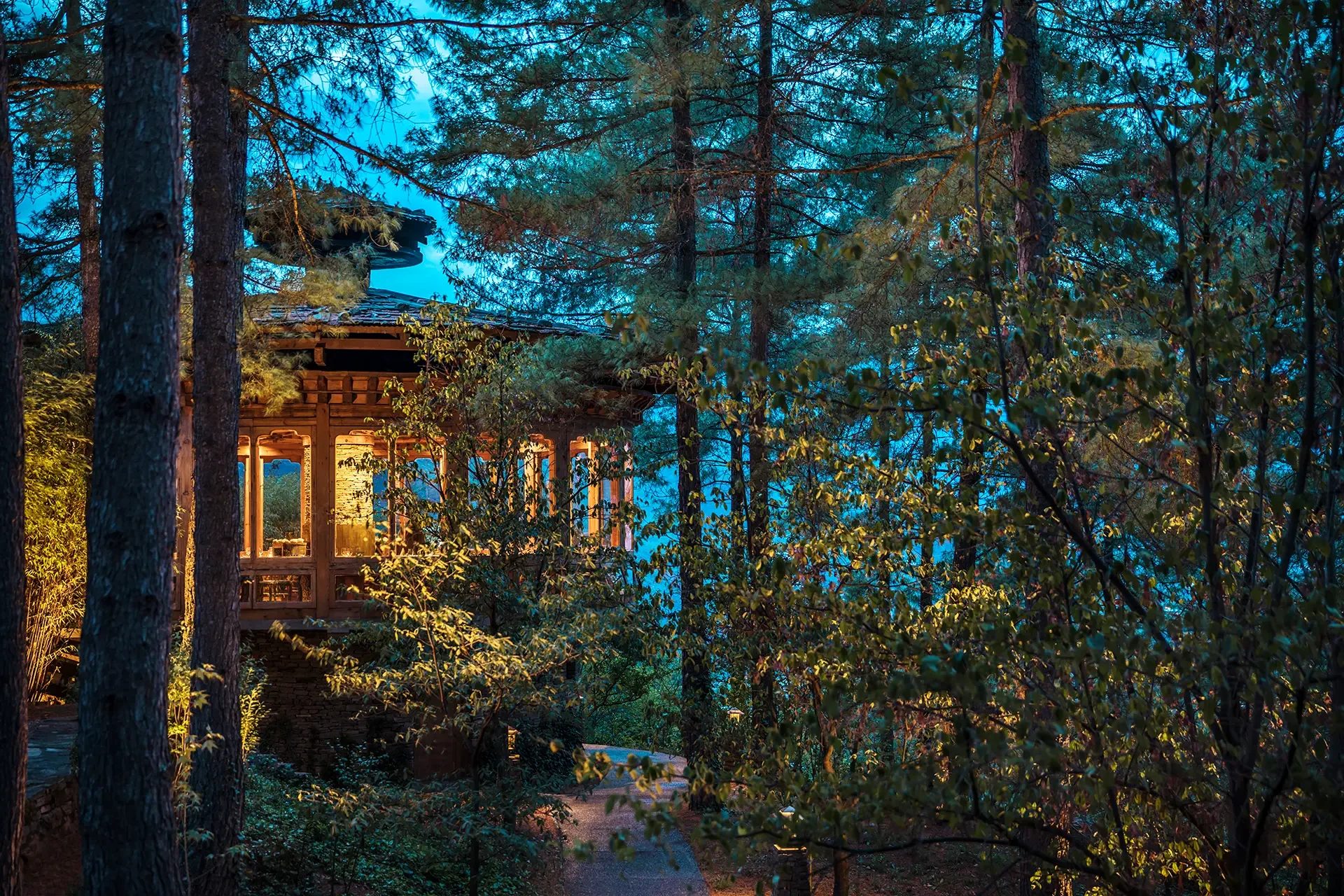 Tree-covered area at dusk with a wooden house partially visible through the trees, illuminated from within.