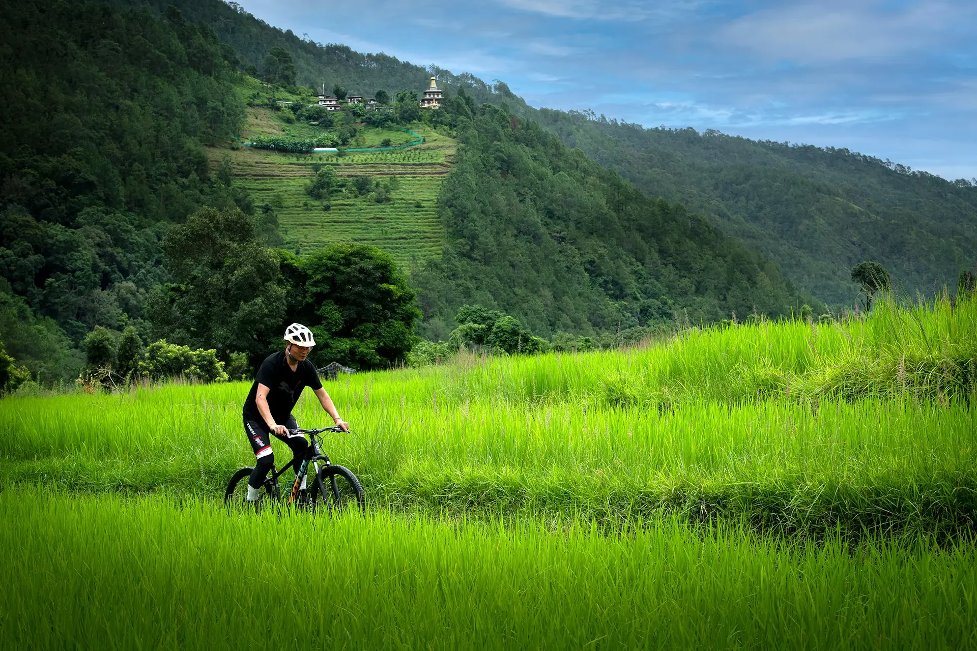 A person wearing a helmet riding a bicycle through a lush green field with a scenic hillside in the background, featuring trees, terraced fields, and a pagoda-style structure on top.