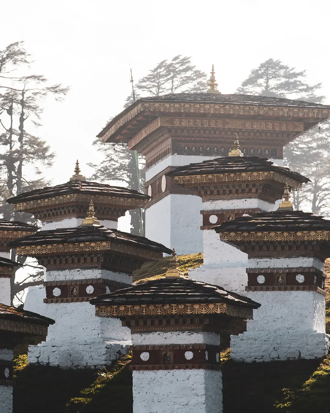 Multiple white and dark brown traditional Buddhist stupas with gold accents and intricate carvings, set among tall trees with foggy background.