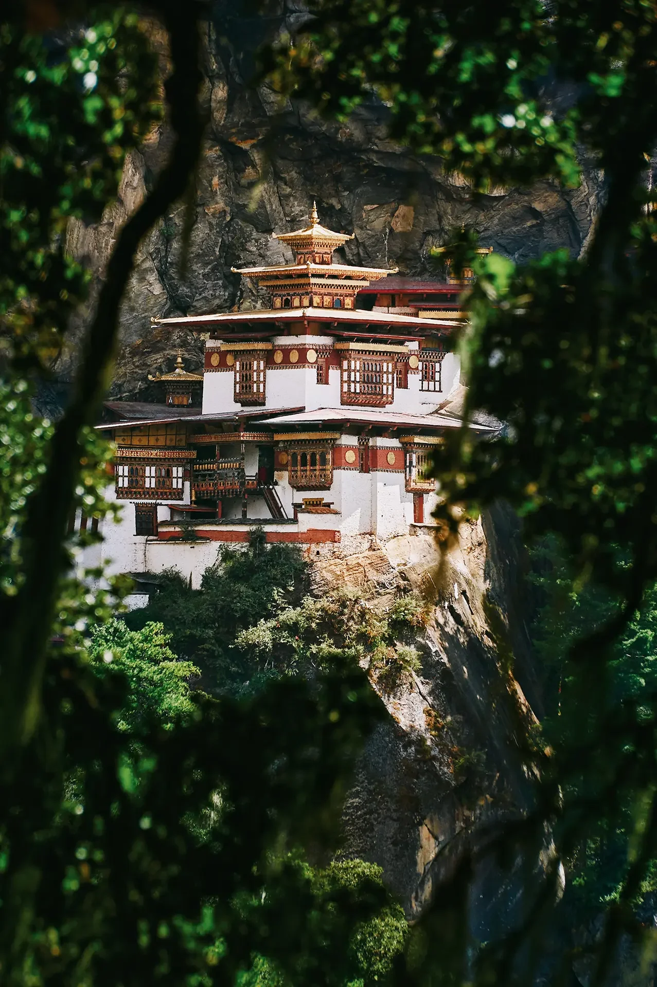 A traditional Bhutanese Dzong perched on a cliff, surrounded by dense green trees and rocky terrain.