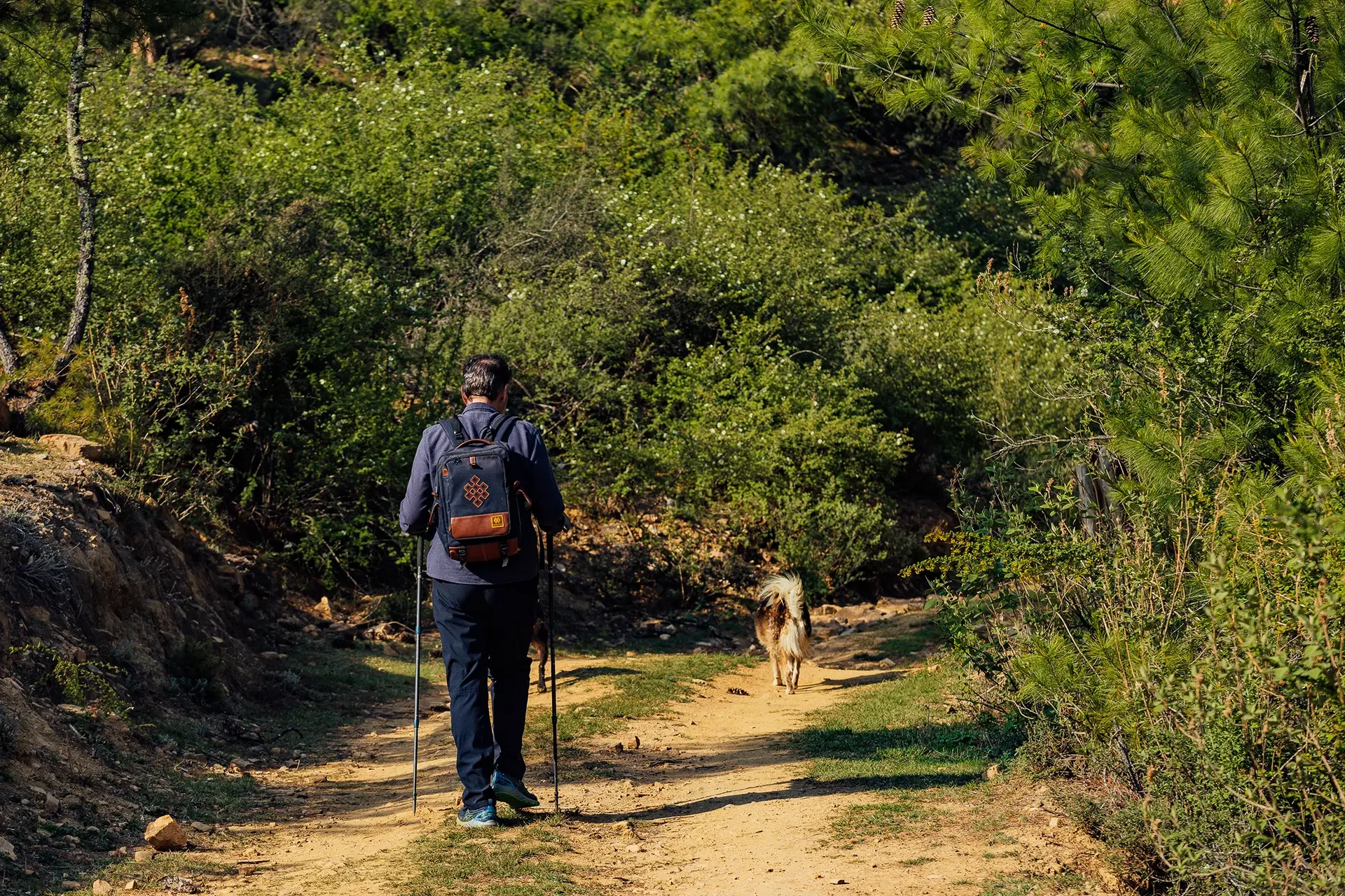A man hiking on a dirt trail with a large backpack and a dog walking ahead in a lush green forest.