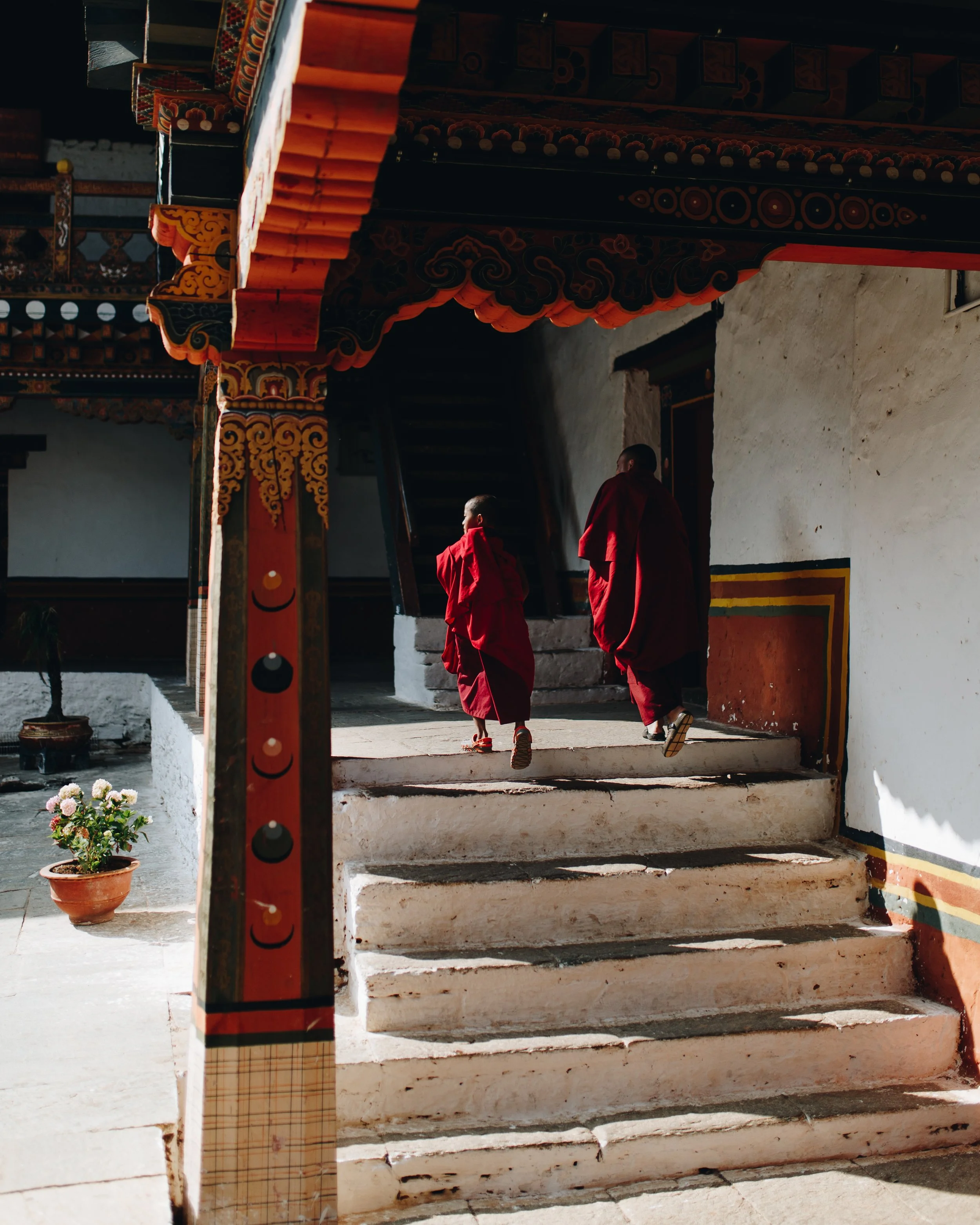 Two monks in red robes walking up the steps of a traditional Tibetan monastery or temple, with ornate decorations and a potted plant on the ground nearby.
