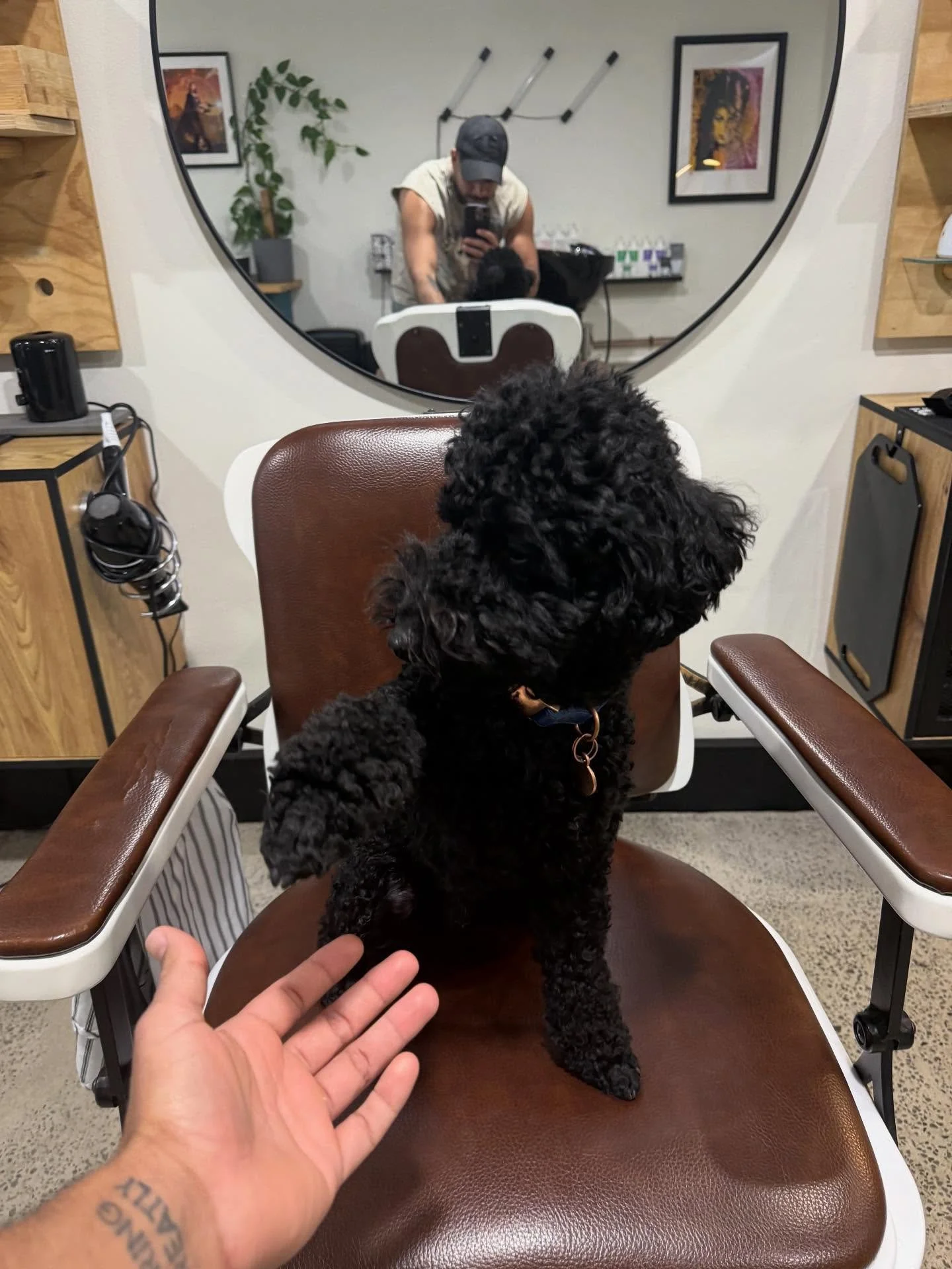 Darlinghurst, Sydney NSW
✂️ Services: Haircuts | Skin Fades | Beard Trims | Hot Towel Shave 

#BarberSydney
#DarlinghurstBarber
#SydneyBarber
#SkinFadeSydney
#baqirbarber