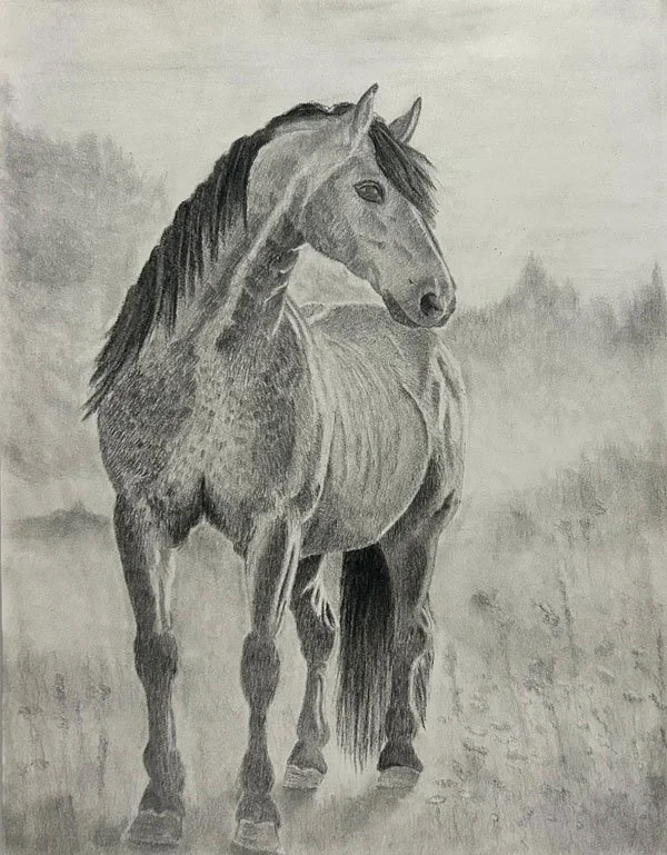 Custom charcoal horse portrait titled Presence by Kayland Childress