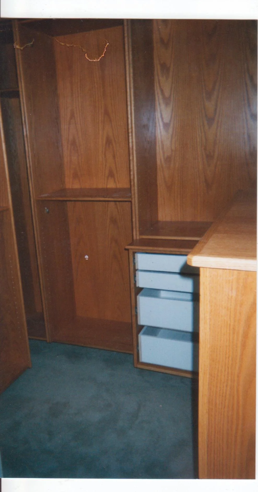 Oak walk in Robe.jpg