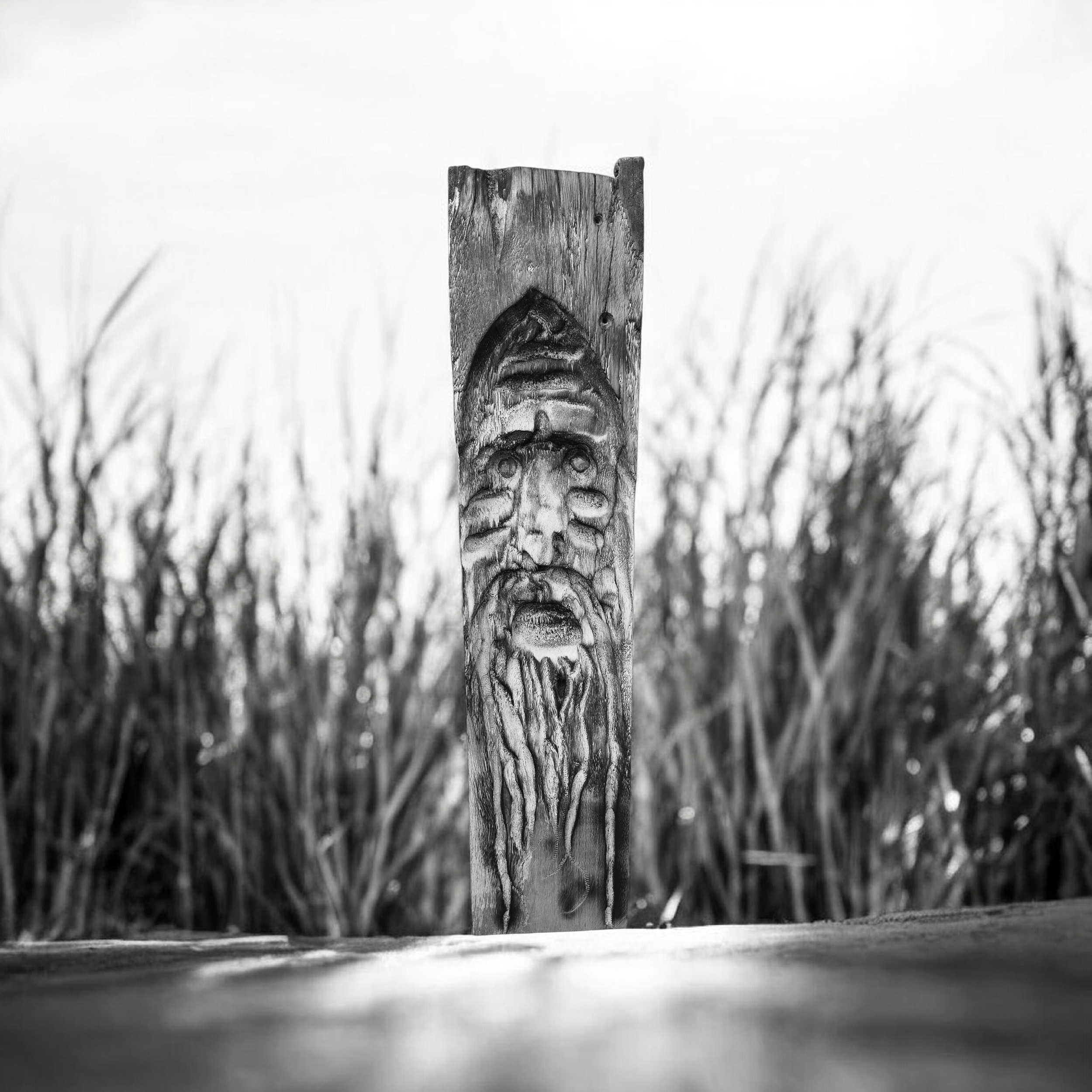 20260313_093755 (2).png