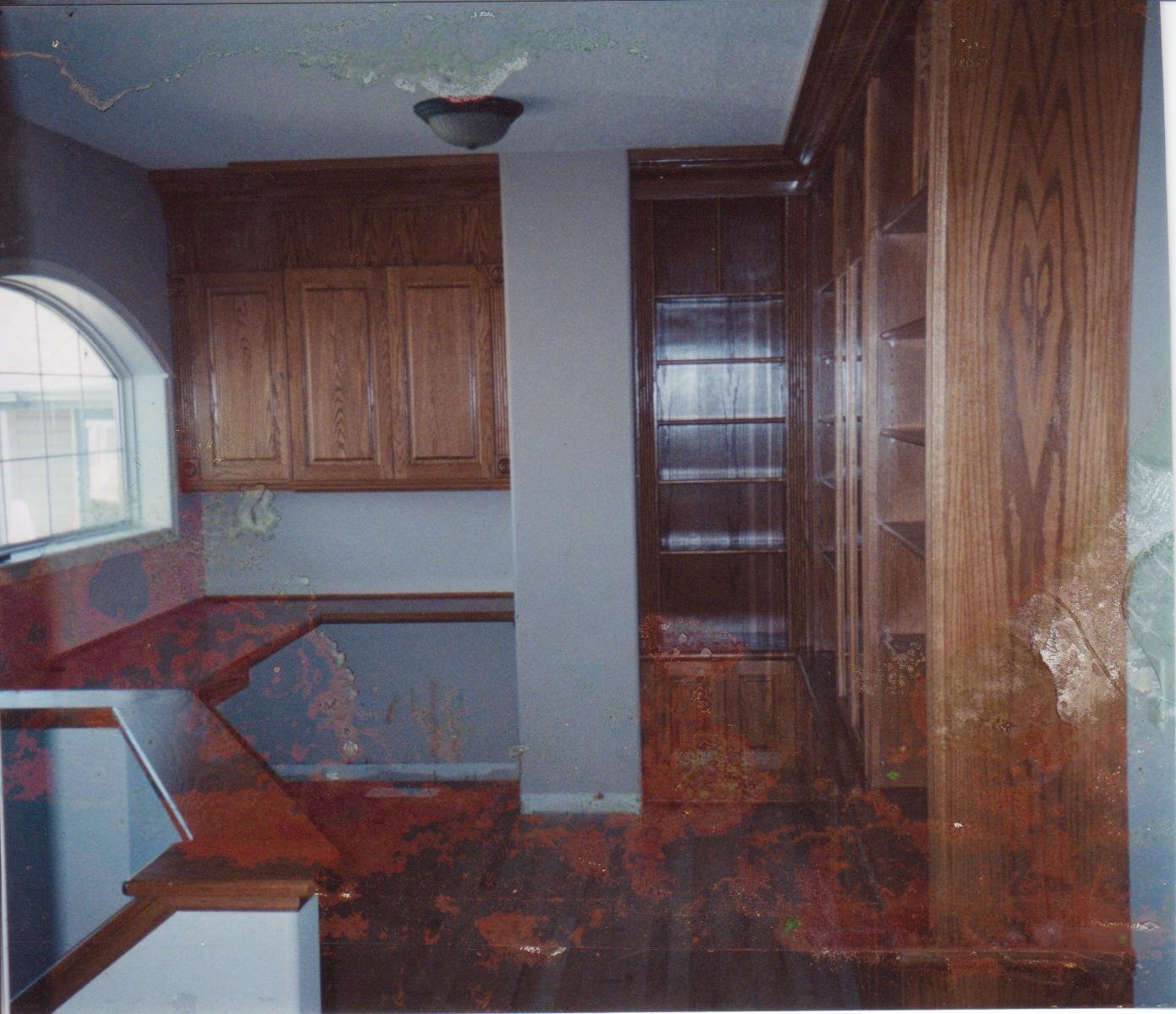 custom bookcase home office.jpg