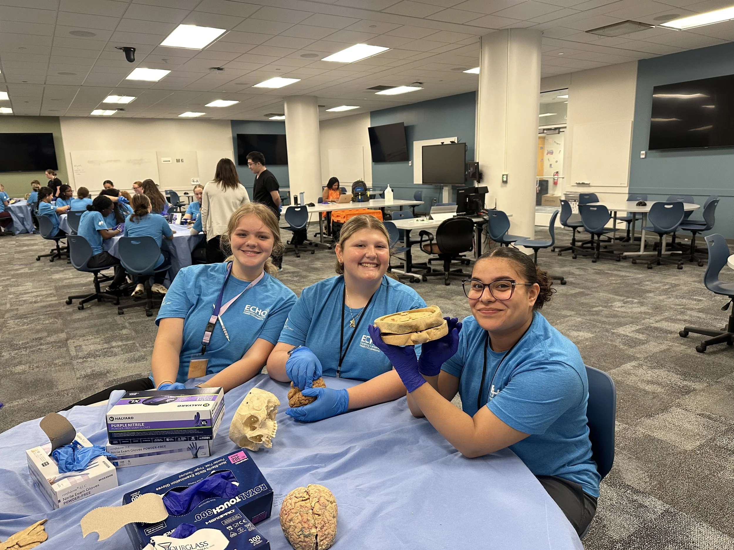 ECHO students holding a skull model