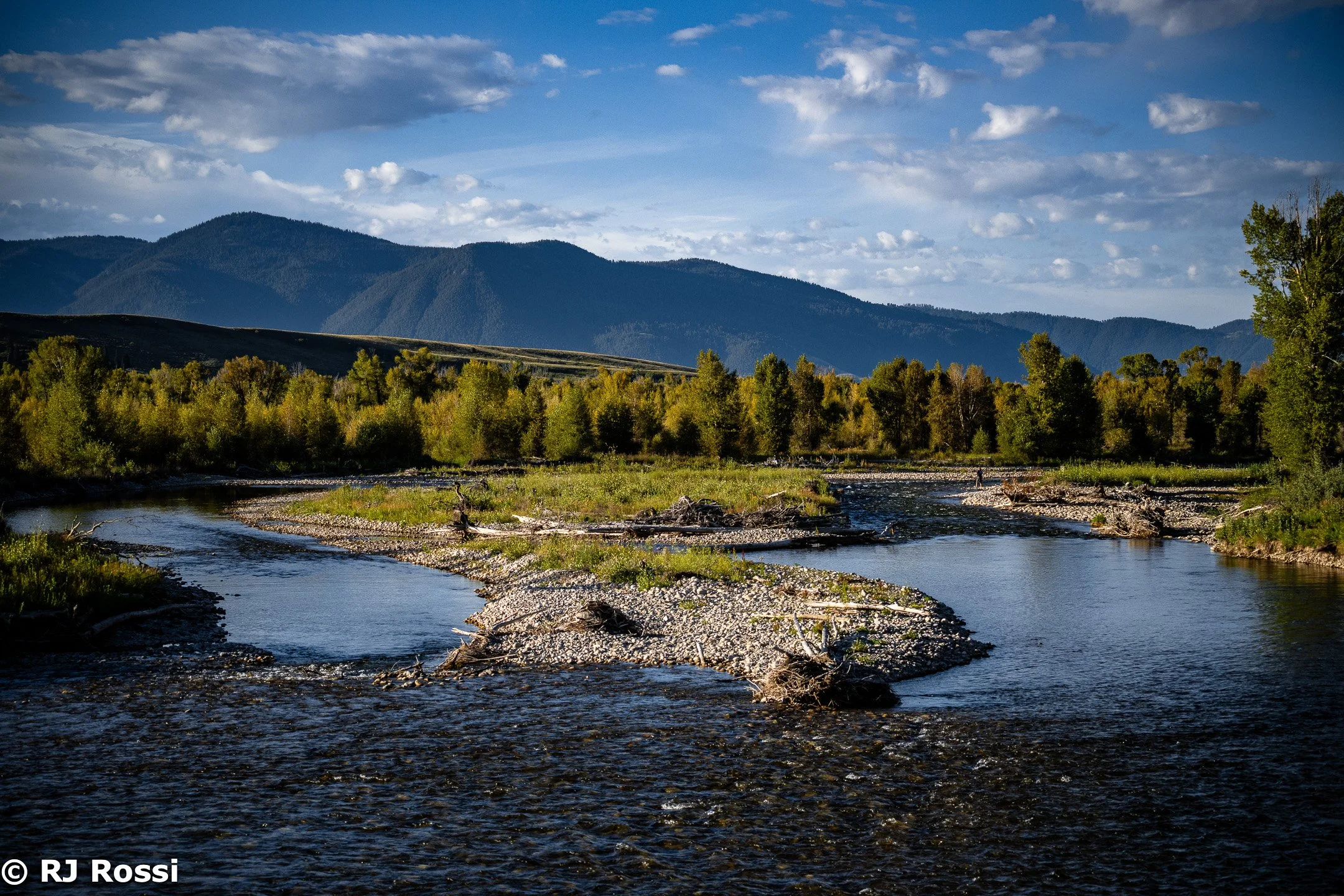 Yellowstone