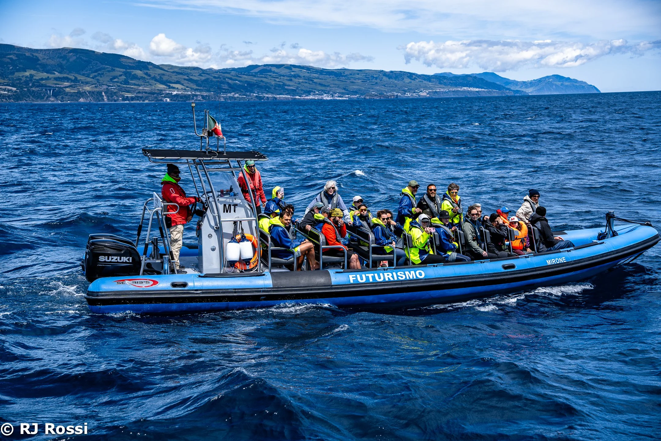 Azoreswhale-33.jpg