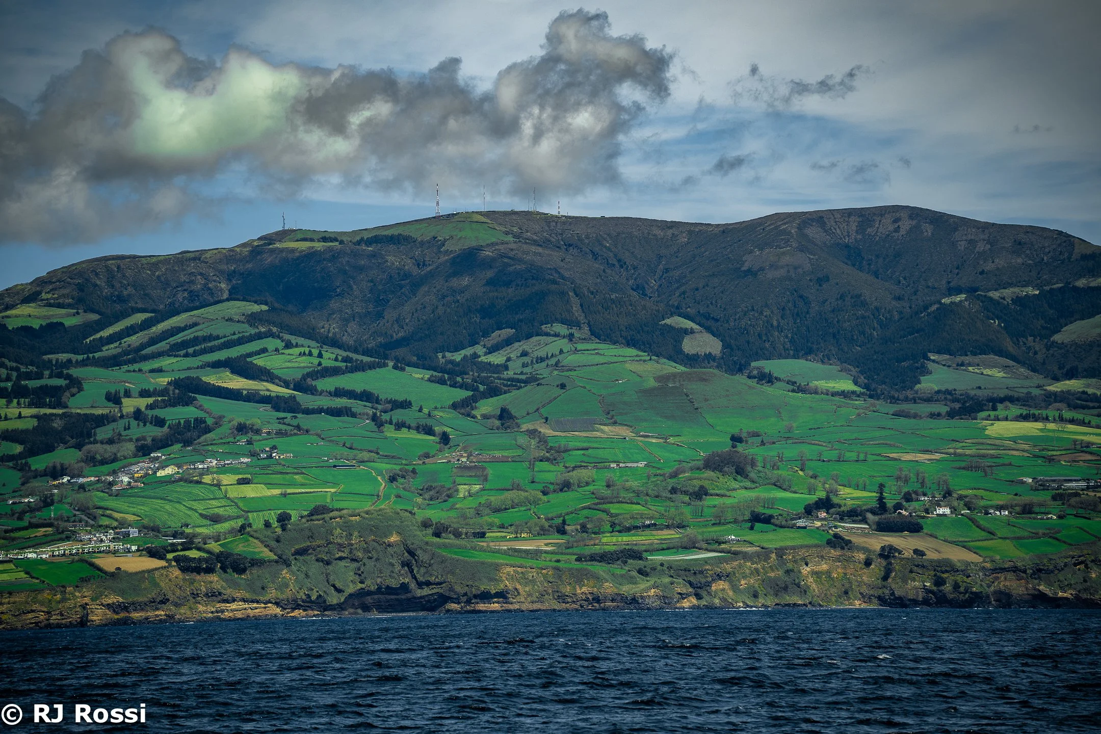 Azoreswhale-7.jpg