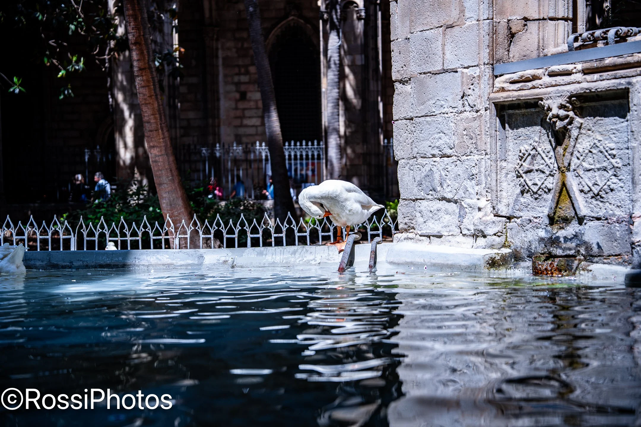 Barcelona2-24.jpg