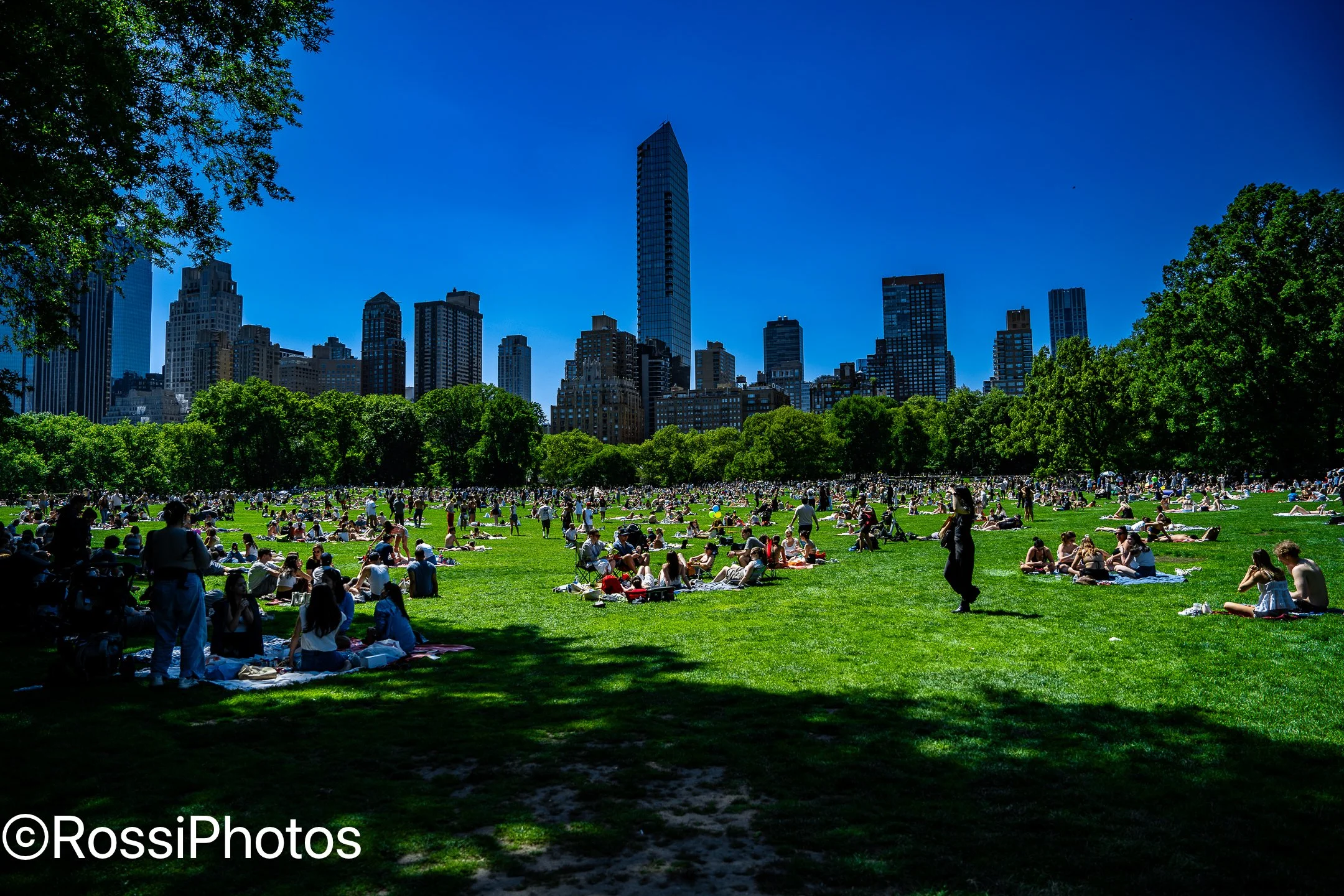 NYCPark-14.jpg