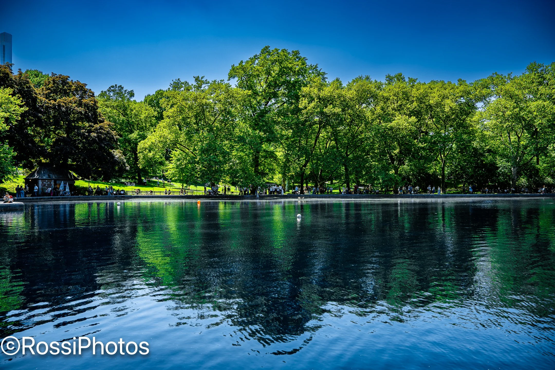 NYCPark-12.jpg