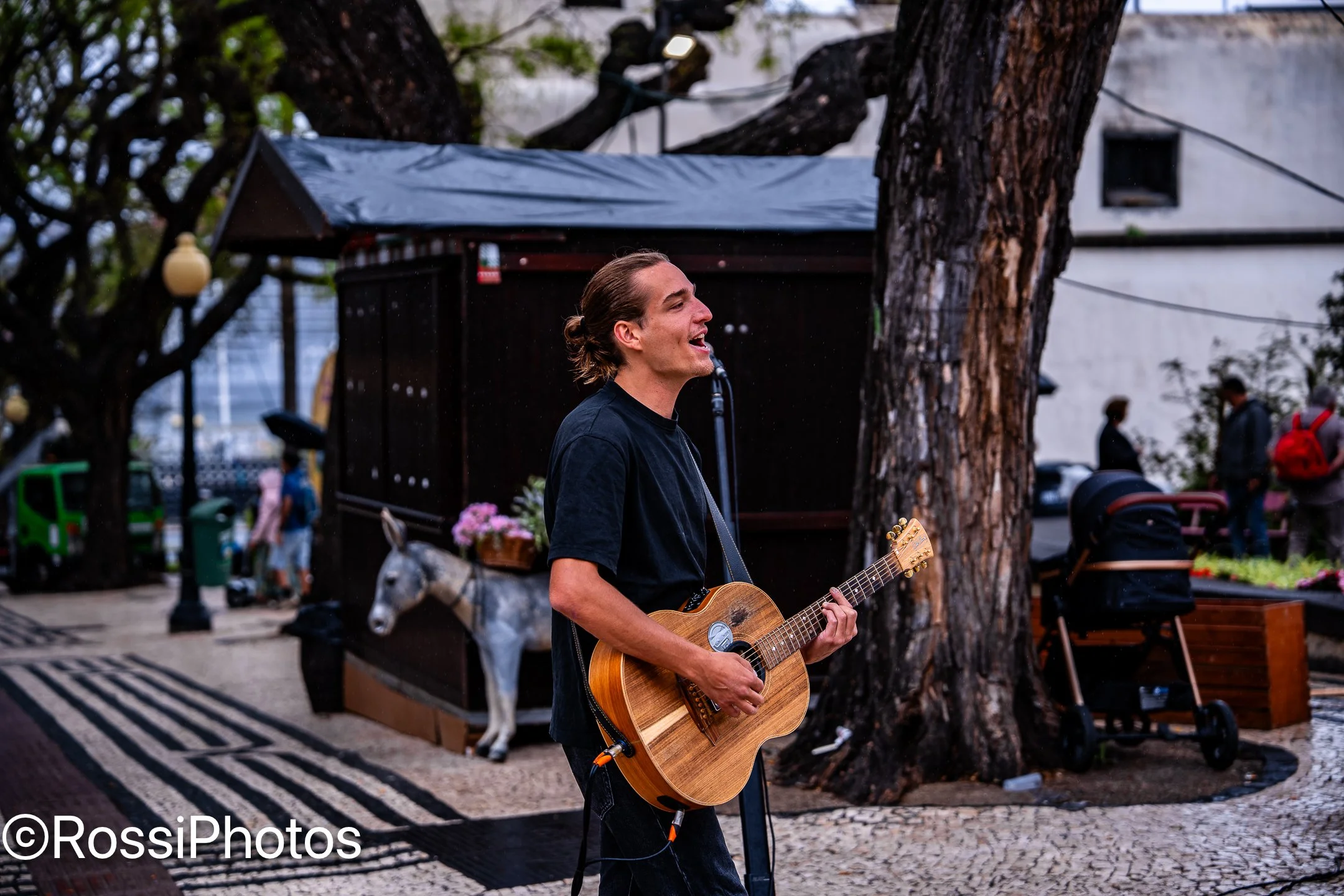 Maderia-14.jpg