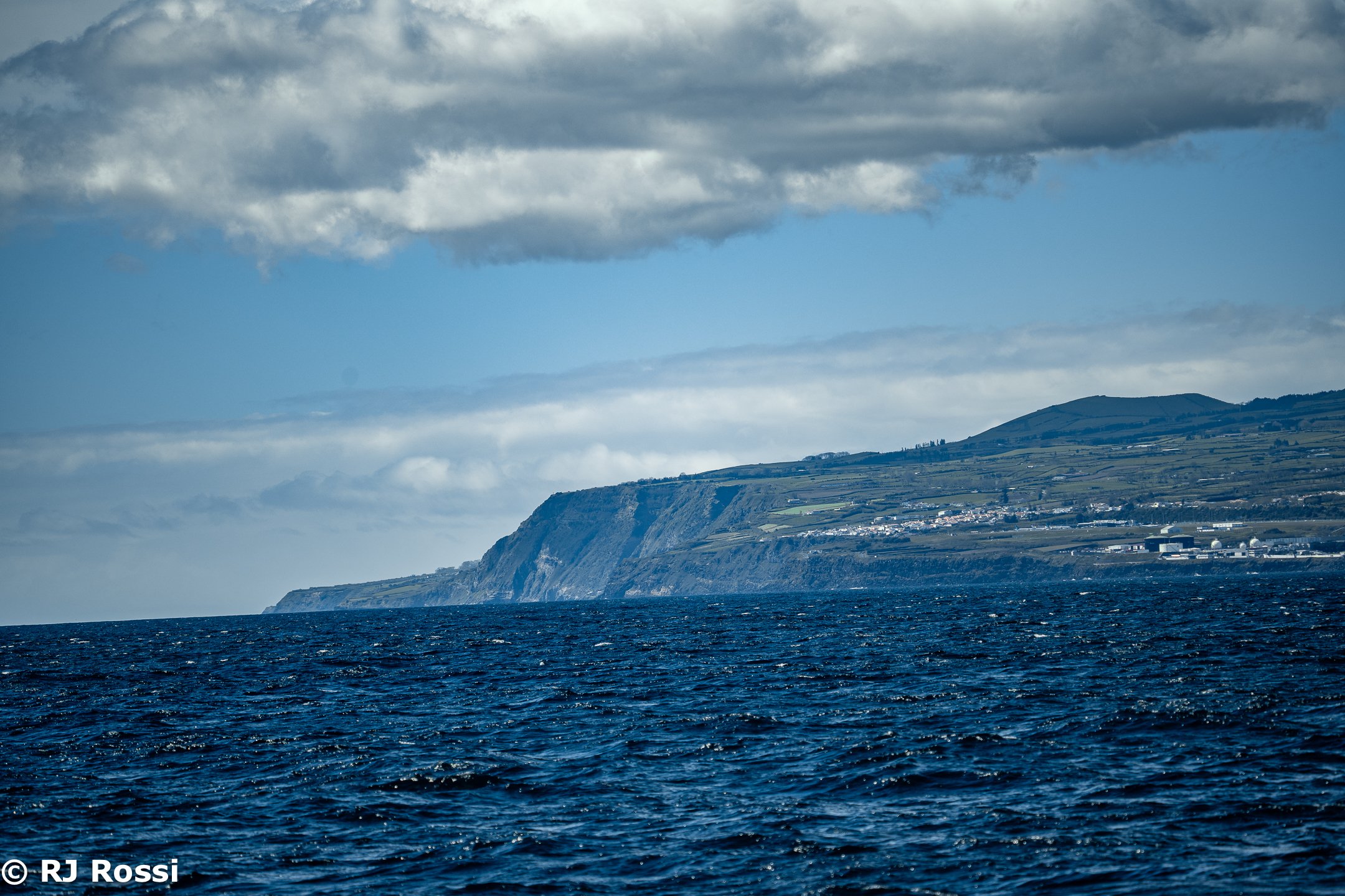 Azoreswhale-46.jpg