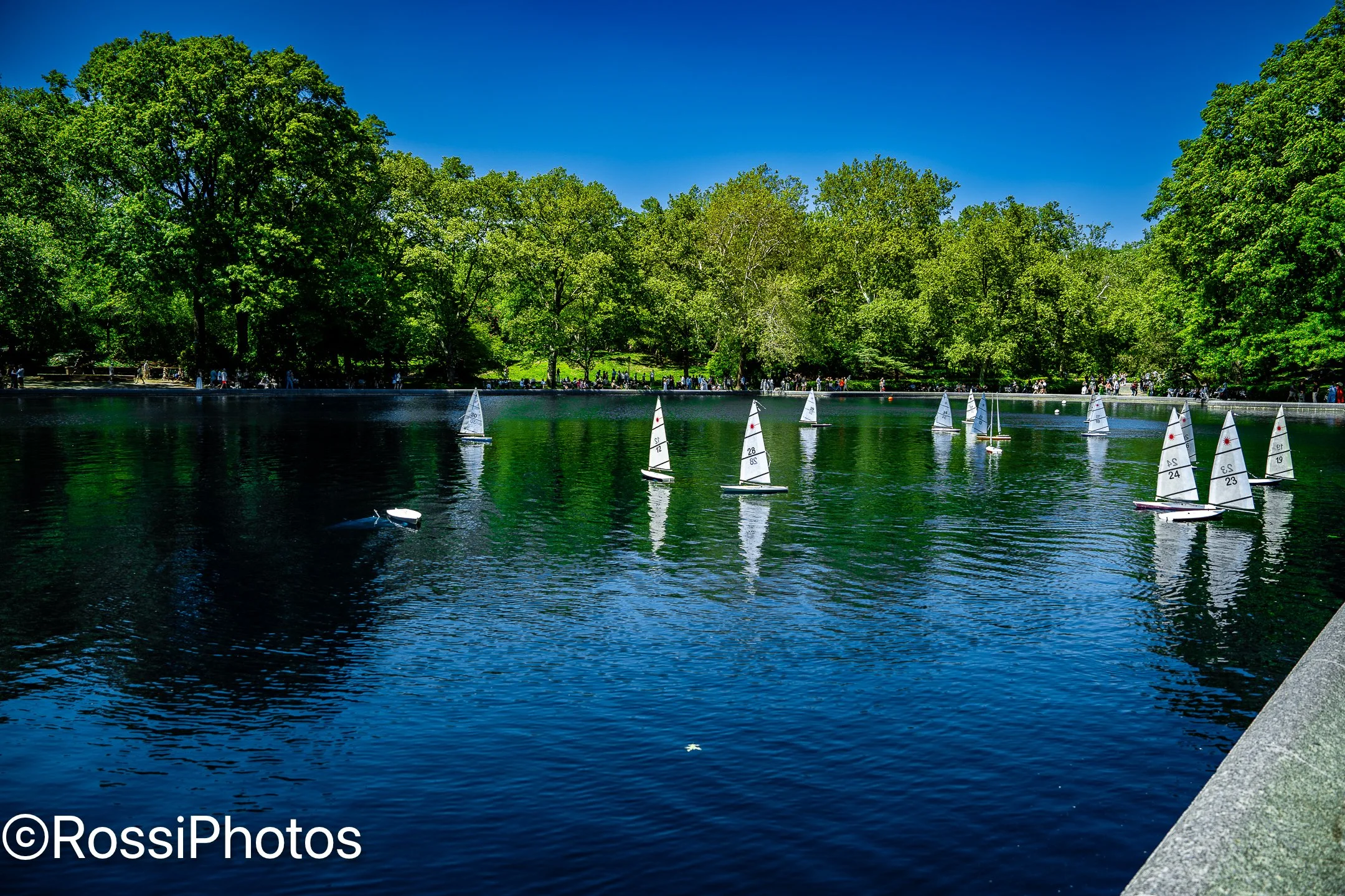 NYCPark-11.jpg