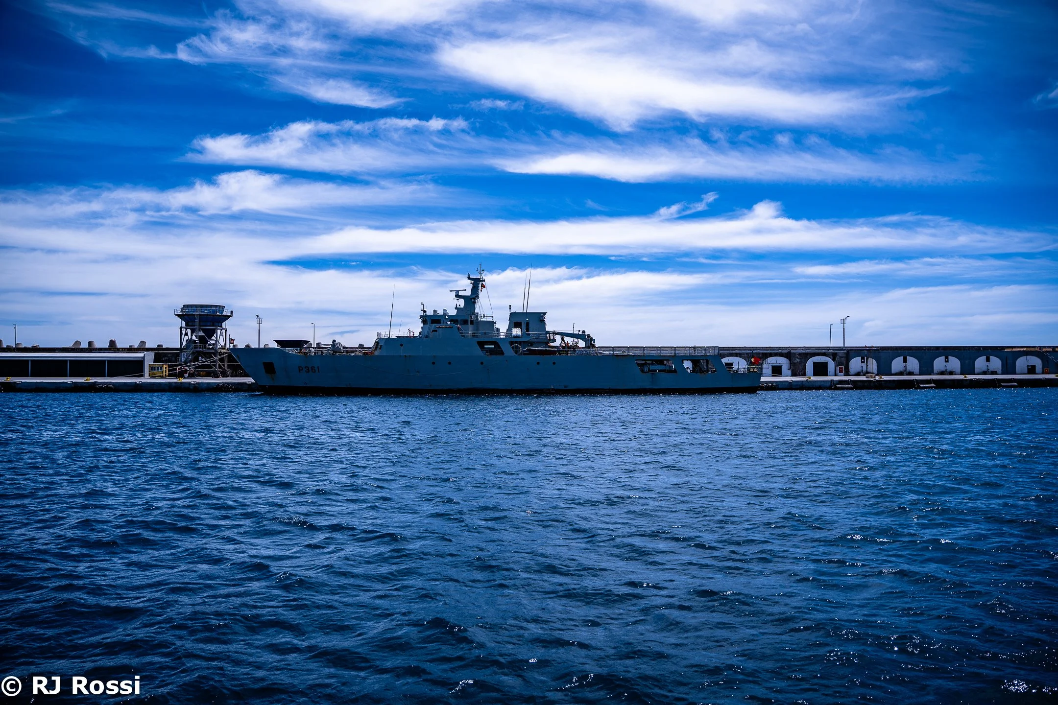 Azoreswhale-4.jpg