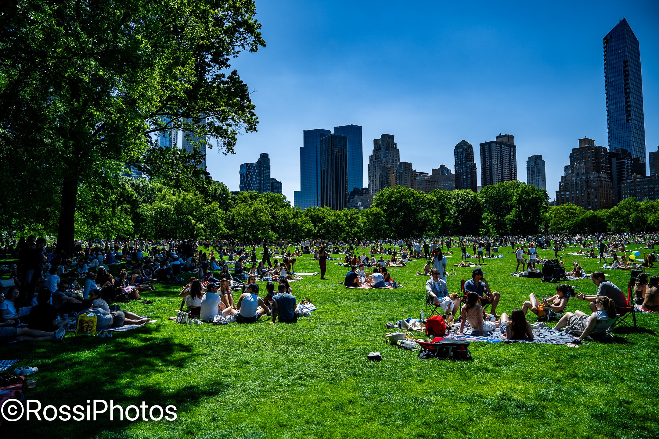 NYCPark-16.jpg