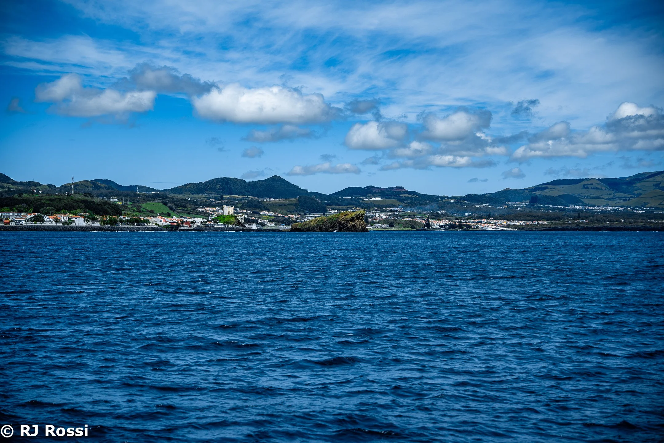 Azoreswhale-6.jpg